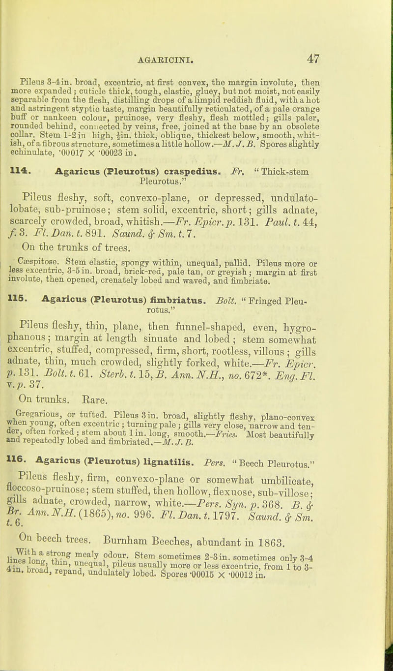 Kleus 3-4iii. broad, exoentrio, at first convex, the margin involute, then more expanded j cuticle thick, tough, elastic, gluey, but not moist, not easily separable from the flesh, distilling drops of a limpid reddish fluid, withahot and astringent styptic taste, margin beautifully reticulated, of a pale orange bufi or nankeen colour, pruinose, very fleshy, flesh mottled; gills paler, rounded behind, coni;ected by veins, free, joined at the base by an obsolete coUar. Stem 1-2 in high, ^in. thick, oblique, thickest below, smooth, whit- ish, of a fibrous structure, sometimes a little hollow.—M. J. B. Spores slightly eohinulate, 'OUOIZ X 00023 in. 114. Agaxicus (Fleuzotus) cxaspedius. Fr.  Thick-stem Pleurotus. Pileus fleshy, soft, convexo-plane, or depressed, undulato- lobate, sub-pruinose; stem solid, excentric, short; gills adnate, scarcely crowded, broad, whitish.—Fr. Epicr.p. 131. Paul. t. 44, f.S. Fl. Dan. t. 891. Saund. ^ Sm. t.7. On the trunks of trees. Csespitose. Stem elastic, spongy within, unequal, pallid. Pileus more or less excentric, 3-5 in. broad, brick-red, pale tan, or greyish ; margin at first involute, then opened, crenately lobed and waved, and fimbriate. 115. Agaricus (Pleurotus) fimbriatus. Bolt.  Fringed Pleu- rotus. Pileus fleshy, thin, plane, then funnel-shaped, even, hygro- phanous ; margin at length sinuate and lobed ; stem somewhat excentric, stuffed, compressed, firm, short, rootless, villous ; gills adnate, thin, much crowded, slightly forked, white.—F7\ Epicr. p. 131. Bolt. t. 61. Sterb. 1.15, B. Ann. N.H., no. 672*. Enq. Fl v.p.37. On trunks. Eare. Gregarious, or tufted. Pileus 3 in. broad, slightly fleshy, plano-convex when young, often excentric ; turning pale ; gills very close, narrow and ten- der otten forked ; stem about 1 in. long, smooth.—i^ries. Most beautifully and repeatedly lobed and fimbriated.—if. J. B. 116. Agaricus (Pleurotus) lignatilis. Pers.  Beech Pleurotus. Pileus fleshy, firm, convexo-plane or somewhat umbilicate, tioccoso-prumose; stem stuffed, then hollow, flexuose, sub-viUose; gills adnate, crowded, narrow, white.—Pers. Syn. p 368 B &■ Br 4nri.M(1865),no. 996. Fl.Dan.t.im. Saund'. ^ Sm. t. 0. On beech trees. Burnham Beeches, abundant in 1863. Un^'w't'i.^n^ ^^^^ ?'^°^^- sometimes 2-3 in. sometimes only 3-4 4tfn Si ' '^P^l'?!' P'leus usually more or less excentric, from 1 to 3- 4in. broad, repand, undulately lobed. Spores -00015 X -00012 in. ^ ^