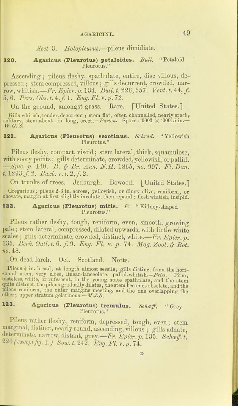 Sect 3. Holopleurus,—pileus dimidiate. ! 120. Agaricus (Pleurotus) petaloides. Bull. Fetaloid Pleurotus. Ascending ; pileus fleshy, spathulate, entire, disc villous, de- pressed ; stem compressed, villous; gills decurrent, crowded, nar- row, whitish.—i^r. Epicr.p. 134. Bull. t. 226, 557. Vent. t. U, f. 5, 6. Fers. Obs. t. 4:,f. 1. Eng. Fl. Y.p. 72. On the ground, amongst grass. Rare. [United States.] Gills whitish, tender, decurrent; stem flat, often channelled, nearly erect; ; solitary, stem about 1 in. long, erect.—Pwto?i. Spores *0003 X '00015 in.— W. G. S. 121. Agazicus (Pleurotus) serotinus. Schrad. Yellowish Pleurotus. Pileus fleshy, compact, viscid; stem lateral, thick, squamulose, I with sooty points ; gills determinate, crowded, yellowish, or pallid. —Sjyic. p. 140. B. ^ Br. Ann. N.H. 1865, no. 997. Fl.Dan. 1293,/. 2. Buxh.Y.t.2,f.2. On trunks of trees. Jedburgh. Bowood. [United States.] Gregarious; pileus 2-3 in. across, yellowish, or dingy olive, reniform, or obovate, margin at first slightly involute, tbenrepand; flesh whitish, insipid. 122. Agaricus (Pleurotus) mitis. P. Kidney-shaped Pleurotus. Pileus rather flesby, tough, reniform, even, smooth, growing pale ; stem lateral, compressed, dilated upwards, with little white scales ; gills determinate, crowded, distinct, white.—Fr. Epicr.p. 135. Berk. Outl. t. 6. /. 9. Eng. Fl. v. p. 74. Mag. Zool. ^ Bot. no. 48. On dead larch. Oct. Scotland. Notts. Pilens i in. broad, at length almost sessile; gills distinct from the hori- zontal stem, very close, linear-lanceolate, pallid-whitish.—i^?-ies. Mrm tasteless, wliite, or rufescent, in the young state spathulate, and the stem quite distinct, the pileus gradually dilates> the stem becomes obsolete, and the pileus renil'orm, the outer margins meeting, and the one overlapping the other; upper stratum gelatinous.— 123. Agaricus (Pleurotus) tremulus. Sohaff.  Grey Pleurotus. Pileus rather fleshy, reniform, depressed, tough, even; stem margmal, distinct, nearly round, ascending, villous ; gills adnate, determmate, narrow, distant, grey.—i^r. Epicr.p. 135. Schceff. t. 224: (except fig. I.) Sow.t.2i2. Eng. Fl.r.p. li. D