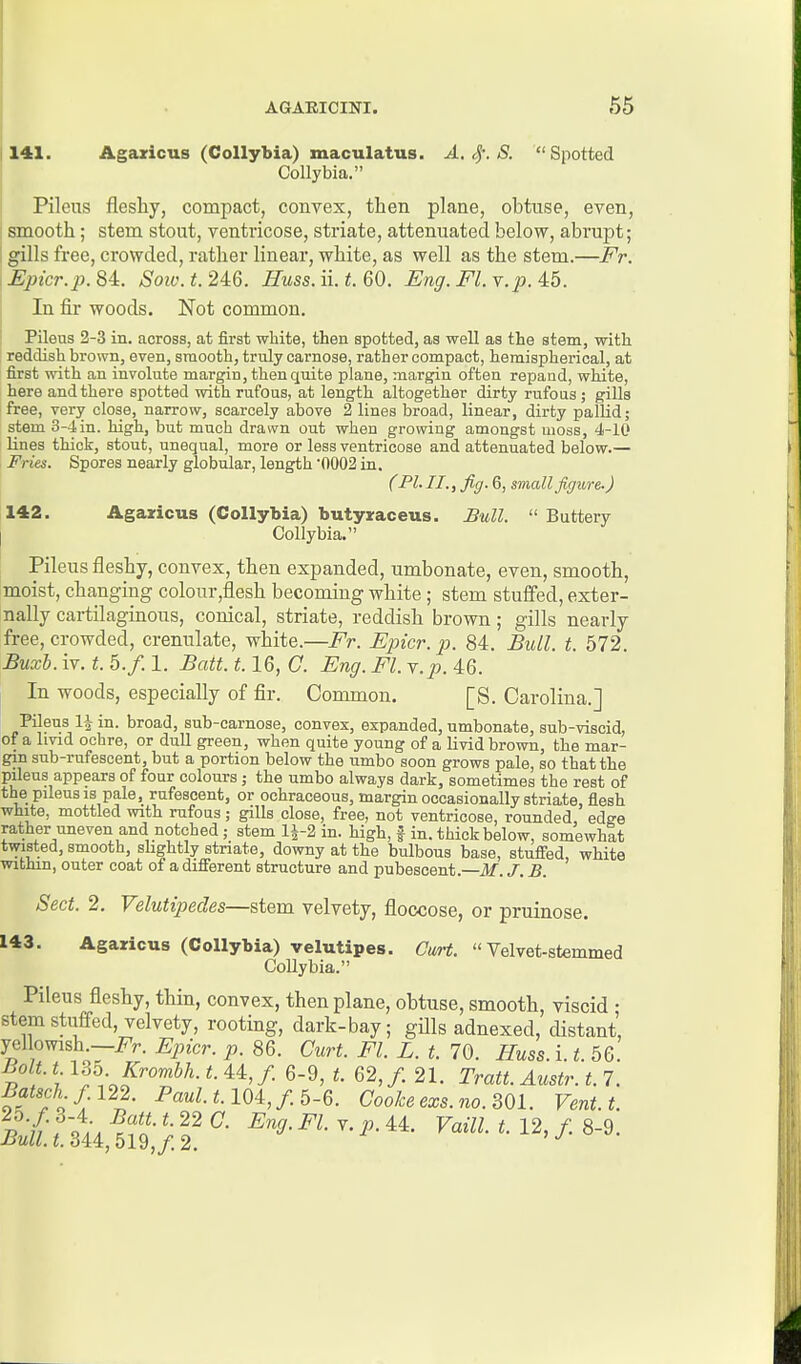 1141. Agazicus (Collybia) maculatus. A. <^'. S. Spotted Collybia. I Pilens fleshy, compact, convex, then plane, obtuse, even, smooth; stem stout, ventvicose, striate, attenuated below, abrupt; gills free, crowded, rather linear, white, as well as the stem.—Pr. .Upicr.p.SL Soiv.t.24:6. Huss.n.t.60. Eng. Fl.v.pA6. I In & woods. Not common. Pileus 2-3 in. across, at first white, then spotted, as well as the stem, with reddish brown, even, smooth, truly carnose, rather compact, hemispherical, at first with an involute margin, then quite plane, margin often repand, white, here and there spotted with rufous, at length altogether dirty rufous ; gills free, very close, narrow, scarcely above 2 lines broad, linear, dirty palUd; stem 3-4in. high, but much drawn out when growing amongst moss, 4-10 lines thick, stout, unequal, more or less ventricose and attenuated below.— Fries. Spores nearly globular, length 0002 in. C PL II., Jiff. 6, small figure.) 142. Agazicus (Collybia) butyzaceus. Bull.  Buttery I Collybia. Pileus fleshy, convex, then expanded, umbonate, even, smooth, moist, changing colour,flesh becoming white ; stem stuffed, exter- nally cartilaginous, conical, striate, reddish brown; gills nearly free, crowded, crenulate, white.—Fr. Epicr.p. 84. Bull. t. 572. Buxb. iv. t. 5./. 1. Bait. 1.16, G. Eng. Fl. Y.p. 46. In woods, especially of fir. Common. [S. Carolina.] POeus 1| in. broad, sub-carnose, convex, expanded, umbonate, sub-viscid, of a Imd ochre, or dull green, when quite young of a livid brown, the mar- gin sub-rufescent, but a portion below the umbo soon grows pale, so that the pileus appears of four colours; the umbo always dark, sometimes the rest of the pileus IS pale, rufescent, or ochraceous, margin occasionally striate, flesh white, mottled with rufous; gills close, free, not ventricose, rounded, edge rather uneven and notched ; stem l|-2 in. high, f in. thick below, somewhat twisted, smooth, slightly striate, downy at the bulbous base, stuffed, white within, outer coat of a different structure and pubescent.—M. J. B. Sect. 2. Velutipedes—stem velvety, floccose, or pruinose. 143. Agazicus (Collybia) velutipes. Cwi-t. Velvet-stemmed Collybia. Pileus fleshy, thin, convex, then plane, obtuse, smooth, viscid • stem stuffed, velvety, rooting, dark-bay; gills adnexed, distant, yellowish.—Fr. Epicr. p. 86. Curt. Fl. L. t. 70. Huss. i. t. 56. ^''[^■[^^^•Krombh.t.U,/. 6-9, t. 62,/. 21. Tratt. Austr. t.7. Batschf. 122. Paul. t.l04,f. 6-6. Cooke exs.no. 801. Vent.t.