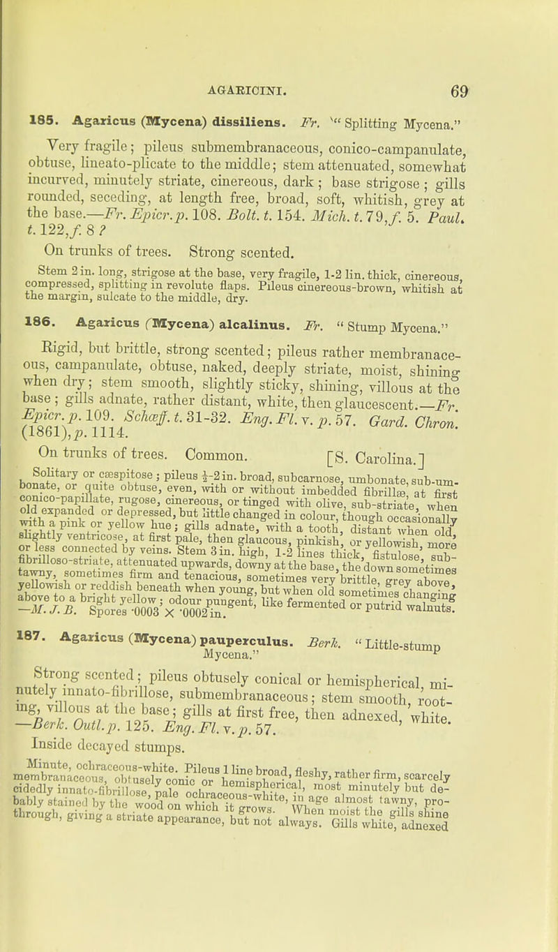 185. Agaricus (Mycena) dissiliens. Fr. Splitting Mycena, Very fragile ; pileus submembranaceous, conico-campanulate, obtuse, lineato-plicate to the middle; stem attenuated, somewhat incurved, minutely striate, cinereous, dark ; base strigose ; gills rounded, seceding, at length free, broad, soft, whitish, grey at the base.—i^r. Epicr.p. 108. Bolt. 1.154. Mich. t. 79, f. 5. PauL 1.122,f. 8? On trunks of trees. Strong scented. Stem 2 in. long, strigose at the base, very fragile, 1-2 lin. thick, cinereous compressed, sphttmg m revolute flaps. Pileus cinereous-brown, whitish at the margin, sulcate to the middle, dry. 186. Agaricus fMycena) alcalinus. Fr.  Stump Mycena. Rigid, but brittle, strong scented; pileus rather membranace- ous, campanulate, obtuse, naked, deeply striate, moist, shining when dry ; stem smooth, slightly sticky, shining, villous at the base ; gills adnate, rather distant, white, then glaucescent —i^r Eptcr. p. 109 Scha^ff.t. 31-32. Eng.Fl.y. p.57. Gard.'chron. (1861),^. 1114. On trunks of trees. Common. [S. Carolina.] hnS'''^ ^ csespitose ; pileus i-2in. broad, subcarnose, umbonate, sub-um- bonate, or quite obtuse, even, with or without imbedded fibrillae at S comco-papillate, rugose, cinereous, or tinged with oHve, sub-striate whpn old expanded or depressed, but little chan|ed in colour, hough occasioSlv with apmk or yellow hue; gills adnate, with a tooth, distant wheTold shghtly ventricose at first pale, then glaucous, pinkish or yellomsh more or less connected by veins. Stem Sin. high 1-2 lines ^h\n^, fi.f^i^fc, ' I fibrilloso-striate, attenuated upwards, doly atLe bief he downtme^^^^^^^ 187. Agaricus (Mycena) pauperculus. Berk.  Little-stumn Mycena. ^ Strong scented; pileus obtusely conical or hemispherical mi- nutely mnato-fibnllose, submembranaceous; stem smooth Ct- mg villous at the base; gills at first free, then adnexed, whTte —Berk. Outl.p. 12b. Eng. Fl.y. p.^T, , wniie. Inside decayed stumps. membrt'acTot'XrsIw^^^^ h'^-' 'r^' ^^^^^-^^^ely cidedly innat' fibH IoT Ll^ i '^^I'sphencal, most minutely but de- bablyltaiS bfthcTooSn^S^ir^^^^^^^^^^ *^™V' T through, giving a striate appear'aSc^LTn^t al^y:? gX*^teTidnt^l