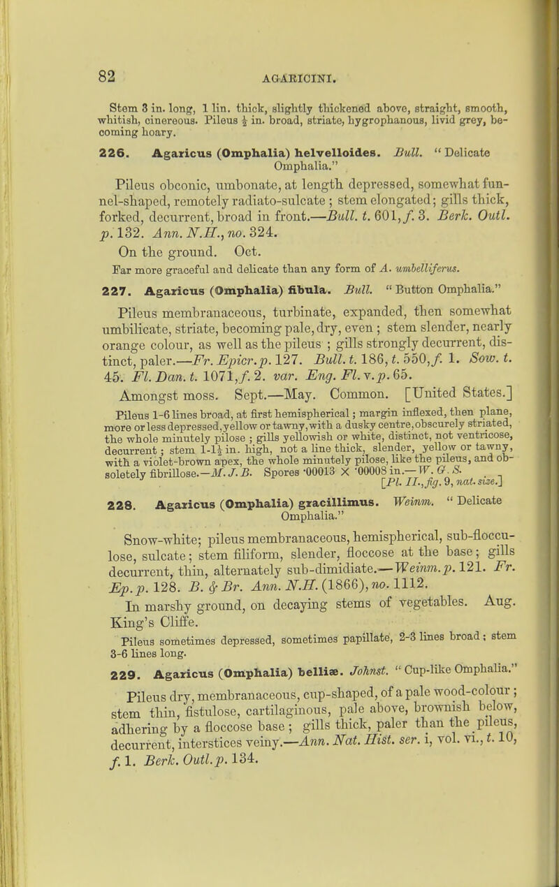 Stem 3 in. long, 1 lin. thick, sligMly thickened above, straight, smooth, whitish, cinereous. Pileue i in. broad, striate, hygrophanous, livid grey, be- coming hoary. 226. Agaxicus (Omphalia) helvelloides. Bull. Delicate Oxnphalia. Pileus obconic, iimbonate, at lengtli depressed, somewhat fun- nel-shaped, remotely radiato-sulcate ; stem elongated; gills thick, forked, decurrent, broad in front.—Bull. t. 601,/. 3. Berk. Outl. p. 132. Ann.N.H.,no.B2A. On the ground. Oct. Far more graceful and delicate than any form of A. umhelliferus. 227. Agaricus (Omphalia) fibula. B%ill.  Button Omphalia. Pileus membranaceous, turbinate, expanded, then somewhat umbilicate, striate, becoming pale, dry, even ; stem slender, nearly orange colour, as well as the pileus ; gills strongly decurrent, dis- tinct, paler.—i^'r. Eincr.p. 127. Bull. 1.186, t. 550,/. 1. Sow. t. 45. Fl.Dan.t. 1071,/. 2. var. Eng. Fl.Y.p.66. Amongst moss. Sept.—May. Common. [United States.] Pileus 1-6 lines broad, at first hemispherical; margin inflexed, then plane, more or less depressed,yellow or tawny,with a dusky centre, obscurely striated, the whole minutely pilose ; gills yellowish or white, distinct, not ventncose, decurrent; stem l-l|in. high, not a line thick, slender, yellow or tawny, with a violet-brown apex, the whole minutely pilose, like the pileus, and ob- soletely fibrinose.-Jf./.B. Spores -00013 X '00008in.—W.G.S. _ IFl. 11.,fig. 9, nat. swe.] 228. Agaricus (Omphalia) gracillimus. Weinm.  Delicate Omphalia. Snow-white; pileus membranaceous, hemispherical, sub-floccu- lose, sulcate; stem filiform, slender, floccose at the base; gills decurrent, thin, alternately sub-dimidiate.—Femm.^x 121. Fr. Ep.p.l28. B.^Br. Ann. N.H. {l^QQ), no. 1112. In marshy ground, on decaying stems of vegetables. Aug. King's Cliffe. Pileus sometimes depressed, sometimes papillate, 2-3 lines broad; stem 3-6 lines long. 229. Agaricus (Omphalia) belliae. JoMst.  Cup-like Omphalia. Pileus dry, membranaceous, cup-shaped, of a pale wood-colour ; stem thin, fistulose, cartilaginous, pak above, brownish below, adhering by a floccose base ; gills thick, paler than the pileus, decurrent, interstices YGiuj.—Ann. Nat. Hist. ser. i, vol. vi., t. lU, /.I. Berk. Outl. p. 134:.