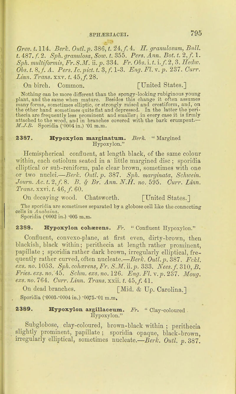 Grev. 1.114. Berk. Outl.p. 386, t. 24,/. 4. H. granulosum, Bull. t. 487. f. 2. Sph. granulosa, Sow. t. 355. Pers. Ann. Bot. t. 2, f. 1. Sph. multiformis, Fr. S.M. ii. p. 334. Fr. Ohs. i. it. i./. 2, 3. J/ecZw;. 0^*5. 8,/. A. Pers. Ic.pict. t. 3, f. 1-3. ^Jftf/. i^/. v. p. 237. C^urr. iirera. Trans, xxv. t 45,/. 28. On birch. Common. [United States.] Nothing can be more different than the spongy-looking rubiginous young plant, and the same when mature. Besides this change it often assumes many forms, sometimes elliptic, or strongly raised and crestiform, and, on the other hand sometimes quite flat and depressed. In the latter the peri- thecia are frequently less prominent and smaller; in every case it is firmly attached to the wood, and in branches covered with the bark erumpent.— M.J.B. Sporidia (0004 in.) Ol m.m. 2387. Hypoxylon marginatum. Berk.  Margined Hypoxylon. Hemispherical, confluent, at length black, of the same colour within, each ostiolum seated in a little margined disc ; sporidia elliptical or sub-reniform, pale clear brown, sometimes with one or two nuclei.—Berk. Outl.p. 387. Sph. marginata, Schwein, Joum. Ac.t.2,f.S. B. ^ Br. Ann. N.H. no. 595. Curr. Linn. Trans, xxvi.t 46,/. 60. On decaying wood. Chatsworth. [United States.] The sporidia are sometimes separated by a globose cell like the connecting cells in Anabaina. Sporidia (-0002 in.) -005 m.m. 2388. Hypoxylon cohaexens. Fr.  Confluent Hypoxylon. Confluent, convexo-plane, at first even, dirty-brown, then blackish, black within; perithecia at length rather prominent, papillate ; sporidia rather dark brown, irregularly elliptical, fre- quently rather curved, often nucleate.—Berk. Outl.p. 387. FcH. exs. no. 1053. Sph. cohcerens, Fr. S.M. ii.p. 333. Nees.f. 310, B. Fries.exs.no. Ai. Schm. exs.no. 126. Eng. Fl. y.p. 237. Moug. exs. no. 764. Curr. Linn. Trans, xxii. t. 4:5, f. 41. On dead branches. [Mid. & Up. Carolina.] Sporidia (•0003-*0004 in.) -OOZS'-Ol m.m, 2389. Hypoxylon azgillaceum. Fr.  Clay-coloured . Hypoxylon. ^ Subglobose, clay-coloured, brown-black within ; perithecia slightly prominent, papillate ; sporidia opaque, black-brown, irregularly elliptical, sometimes nucleate.—Berk. Outl. p. 387,