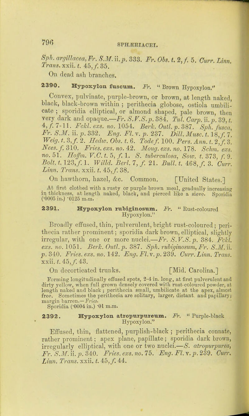 sph;eriacei. Sph. argillacea, Fr. S.M. u.p. 333, Fr. Obs. t. 2,/. 5. Curr. Linn Trans, xxii. t. 45,/. 35. On dead ash branches. 2390. Hypoxylon fuscum. Fr.  Brown Hypoxylon. Convex, pulvinato, pnrple-brown, or brown, at length naked, black, black-brown within ; perithecia globose, ostiola umbili- cate ; sporidia elliptical, or almond shaped, pale brown, then very dark and opaque.—Fr. S.V.S.p. 384. Tul. Carp. n.p. 39, t. 4,/. 7-11. Fold. exs. no. 1054. Berk. Outl. p. 387. Sph. fuscu, Fr. S.M. ii. p. 332. Eng. Fl. v. p. 237. Dill. Muse. 1.18,/. 7. Weig. t. 3,/. 2. Iledw. Obs. t. 6. Todef. 100. Pers. Ann. t. 2,/ 3. Nees.f. 310. Fries, exs. no. 4:2. Moug. exs. no. 178. Schm. exs. no. 51. Ho fin. V.C. t. 5, / 1. S. tuberculosa, Sow. t. 373, f. 9 Bolt. t. 123,/. 1. Willd. Berl. 7, /. 21. Bull. t. 468,/. 3. Curr. Linn. Trans, xxii. t. 45,/. 38. On hawthorn, hazel, &c. Common. [United States.] At first clothed with a rusty or purple brown tneal, gradually increasing iq thickness, at length naked, black, and pierced like a sieve. Sporidia (•0005 in.) -0125 m.m. 2391. Hypoxylon zubiginosum. Fr.  Eust-coloured Hypoxylon. Broadly effused, thin, pulverulent, bright rust-coloured; peri- thecia rather prominent; sporidia dark brown, elliptical, slightly irregular, with one or more nuclei.—Fr. S. V.S. p. 384. Fckl. exs. no. 1051. Berk. Outl. p. 387. Sph. rubiginosum, Fr. S.M.ii. p. 340. Fries, exs. no. 142. Eng. Fl.\.p.232. Curr. Linn. Trans. xxii. t. 45,/. 43. On decorticated trunks. [Midi Carolina.] Forming longitudinally efifused spots, 2-4 in. long, at first pulverulent and dirty yellow, when full grown densely covered with rust-coloured powder, at length naked and black ; perithecia small, umbilicate at the apex, almost free. Sometimes the perithecia are solitary, larger, distant and papillary; margin barren.— Fries. Sporidia (-0004 in.) -01 m.m. 2392. Hypoxylon atxopurpureum. Fr.  Purple-black Hypoxylon. Effused, thin, flattened, purplish-black ; perithecia connate, rather prominent; apex plane, papillate ; sporidia dark brown, irregularly elliptical, with one or two nuclei.—S. atropurpiurea, Fr. S.M. ii. p. 340. Fries, exs. no. 75. Eng. Fl. v. p. 239. Curr. Linn. Trans, xxii. t. 45,/ 44.