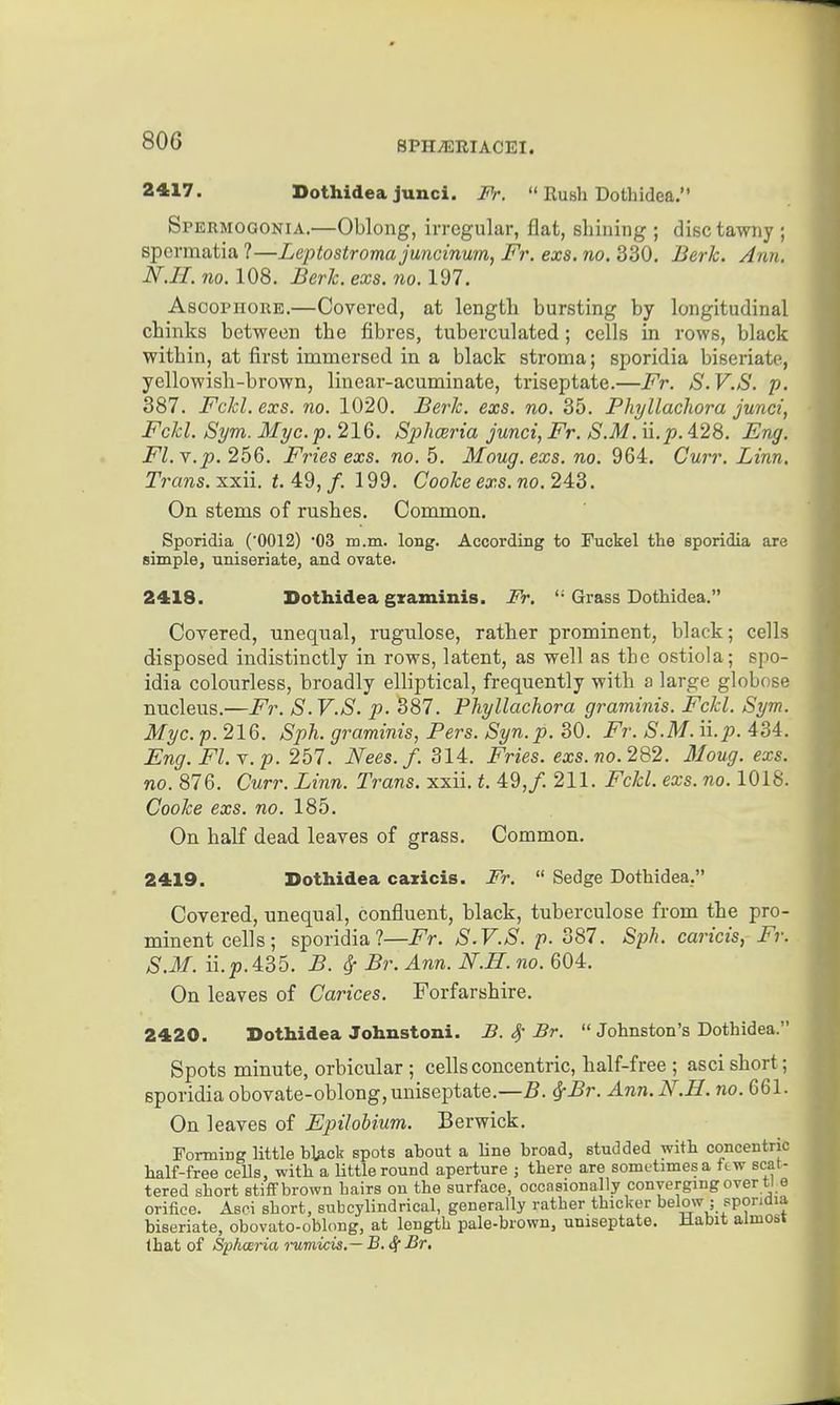 2417. Bothidea junci. Fr.  Rush Dothidea. Spermoqonia.—Oblong, irregular, flat, shining ; disc tawny ; spermatia ?—Leptostromajuncinum, Fr. exs. no. 330. Berk. Ann. N.II. no. 108. Berk. exs. no. 197. AsooPHORB.—Covered, at length bursting by longitudinal chinks between the fibres, tuberculated; cells in rows, black within, at first immersed in a black stroma; sporidia biseriate, yellowish-brown, linear-acuminate, triseptate.—Fr. S.V.S. p. 387. Fckl. exs. no. 1020. Be7'k. exs. no. 35. Phyllacliora junci, Fckl. Sym. Myc. p. 216. Sj^hceria junci, Fr. S.M. \\.p. 428. Eng. Fl.Y.p. 266. Fries exs. no. 5. Moug.exs.no. 964. Curr. Linn. Trans, xxii. t. 49, /. 199. Cooke exs. no. 243. On stems of rushes. Common. Sporidia ('0012) 'OS m.m. long. According to Fuckel the sporidia are simple, uniseriate, and ovate. 2418. Dothidea gxaminis. Fr. '* Grass Dothidea. Covered, unequal, rugulose, rather prominent, black; cells disposed indistinctly in rows, latent, as well as the ostiola; spo- idia colourless, broadly elliptical, frequently with a large globose nucleus.—Fr. S.V.S. p. 387. Phyllachora graminis. Fckl. Sym. Myc. p. 216. Sph. graminis, Pers. Syn.p. BO. Fr. S.M.ii.p. 434. Eng. Fl.Y.p. 257. Nees. f. 314. Fries, exs.no.2Q2. Moug. exs. no. 876. Curr. Linn. Trans, xxii. t. 49,/. 211. Fckl. exs. no. 1018. Cooke exs. no. 185. On half dead leaves of grass. Common. 2419. Dothidea caxicis. Fr.  Sedge Dothidea. Covered, unequal, confluent, black, tuberculose from the pro- minent cells; sporidia?—Fr. S.V.S. p. 387. Sph. caricis, Fr. S.M. ii.2>.435. B. ^ Br. Ann. N.H. no. 604. On leaves of Carices. Forfarshire. 2420. Dothidea Johnstoni. B. S,-Br.  Johnston's Dothidea. Spots minute, orbicular ; cells concentric, half-free ; asci short; sporidia obovate-oblong,uuiseptate.—5. 6fBr. Ann. N.H. no. 661. On leaves of Epilobium. Berwick. FormiDg little bl^ck spots about a Una broad, studded with concentric half-free ceUs, with a Uttle round aperture ; there are sometimes a Itw scat- tered short stiff brown hairs on the surface, occasionally converging over ti e orifice. Asri short, subcylindrical, generally rather thicker below ; sporidia biseriate, obovato-oblong, at length pale-brown, uniseptate. Jlabit almost that of Sphwria rumicis.— B.S^Br.