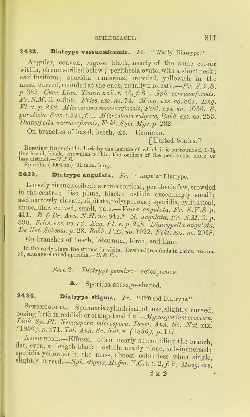 2432. Diatrype vexxucaefoxmis. F):  Warty Diatrype. Angular, convex, rugose, black, nearly of the same colour within, circumscribed below ; perithecia ovate, with a short neck; asci fusiform; sporidia numerous, crowded, yellowish in the mass, curved, rounded at the ends, usually nucleate.—Fr. S.V.S. p. 385. Curr.Linn. Traws, xxii, i. 46,/. 81. Spli. verrucceformis. Fr.S.M.il p.3l)6. Fries, exs. no. 74:. Moug. exs.no. ^Ql. Eng. Fl. V. p. 242. Microstoma verrucceformis, Fckl. exs. no. 1036. S. parallela, Soiv. t. 394,/, 4. Microstoma vulgare, Rabh. exs. no. 253, Diatrypella verrucceformis, Fckl. Sym. Myc.p. 232. On branches of hazel, beech, &c. Common. [United States.] Bursting through the bark by the laeinise of which it is surrounded, 1-1* line broad, black, brownish within, the orifices of the perithecia more or less distinct.—M.J.B. Sporidia ('0004 in.) 01 m.m. long, 2433. Biatrype angulata. Fr.  Angular Diatrype. Loosely circumscribed; stroma cortical; perithecia few, crowded in the centre ; disc plane, black; ostiola exceedingly small; asci narrowly clavate, stipitate, polysporous ; sporidia, cylindrical, unicellular, curved, small, pale.— Valsa angulata, Fr. S.V.S p. 411, B.^Br.Ann.N.H.no.^1%.* S. angulata, Fr. S.31. ii. p. 390. Fries, exs. no. 72. Fng. Fl. y.p. 248. Diatrypella angulata. De Not. Schema, p. 28. Rabh. F.E. no. 1022. Fckl. exs. no. 2058. On branches of beech, laburnum, birch, and lime. In the early stage the stroma is white. Deemazi^res finds in Pries, exs. no. 72, sausage-shaped sporidia.—B. Sf Br. Sect. 2, Diatrype genuina—octosporous. A. Sporidia sausage-shaped. 2434. Diatrype stigma. Fr.  Effused Diatrype, Spermogonia.—Spermatia cylindrical, obtuse, slightly curved oozing forth m reddish ovovangetendrih.-M yxosporium croceum, ^lli-^P'^l'-Nemaspora microspora. Desm. Ann. Sc. i\^a«. xix. (1830), p. 271. Tul. Ann. Sc. Nat. v, (18bQ), p. 117. AscoPHORE.—Effused, often nearly surrounding the branch flat, even, at length black ; ostiola nearly plane, sub-immersed- sporidia yellowish in the mass, almost colourless when single' slightly curved.—^SpA, stigma, Hoffm. V.G. i, t. 2,/ 2. Moug. exs.