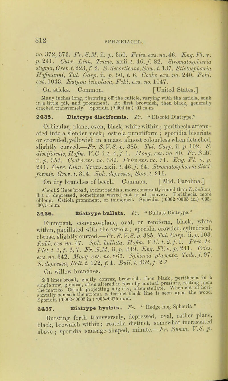 no. 372, 373. Fr. S.M. ii. p. 350. Fries, exs. no. 46. Eng. Fl. v. 241. Curr. Linn. Trans, xxii. 46,/. 82. Stromalosphceria stigma, Grev. t. 223,/. 2. S. decoriicans, Sow. 1.137. Stictospharia Hnffmanni, Tul. Carp. ii. p. 50, t. 6. Coo/ce exs. no. 240. jPc^Z. eajs. 1043. Eutypa leioplaca, FcJd. exs. no. 1047. On sticks. Common. [United States.] Many inches long, tlirowing off the cuticle, varying with the ostiola, sunk in a little pit, and prominent. At first brownish, then black, generally cracked transversely. Sporidia ('0004 in.) Ol m.m. 2435. Diatrype discifoxmis. Fr.  Discoid Diatrype. Orbicular, plane, even, black, white within ; perithecia attenu- ated into a slender neck; ostiola punctiform ; sporidia biseriate or crowded,yellowish in amass, almost colourless when detached, slightly curved.—/'r. S.V.S.p. 385. Tul. Carp. n. p.102. S. disciformis, Hoffm. V.C. i. t. 4,/. 1. Movg. exs. no. 80. Fr. S.M. i\.p. 353. Cooke exs. no. 389. Fries exs. no. 71. Eng. Fl. y. p. 241. Curr. Linn. Trans, xxii. 1.46,/. 64. Stromatosphoeria disci- formis, Grev. t. 314. Sph. depressa, Sow. <. 216. On dry branches of beech. Common. [Mid. Carolina.] About 2 lines broad, at first reddish, more constantly round than D. bullaia, flat or depressed, sometimes waved, not at all convex. Perithecia more oblong. Ostiola prominent, or immersed. Sporidia (■0002-0003 in.) 005- •0075 m.m. 2436. Diatrype bullata. Fr.  Bullate Diatrype. Erumpent, convexo-plane, oval, or reniform, black, white within, papillated with the ostiola ; sporidia crowded, cylindrical, obtuse, slightly curved.—i^r. S. V.S.p. 385. Tul. Car}). Hp. 103. Rabh. exs. no. 47. Sj^h. hullata, Hoffm. V.C. t. 2./. 1. Pers. Ic. Pict. t. 3, / 6, 7. Fr. S.M. ii.p. 349. Eng. Fl.v. p. 241. Fries. exs.no 342. Moug. exs. no.86G. Sphceria jjlacenta, Tode.f.'dl. S. depressa. Bolt. t. 122, / 1. Bull. t. 432,/ 2 ? On willow branches. 2-3 lines broad, gently convex, brownish, then black; perithecia in a single row, globose, often altered in form by mutual pressure, resting upon the matrix. Ostiola projecting slightly, often.stellate. When cut off hon- zontally beneath the stroma a distinct black line is seen upon the wood. Sporidia (•0002--0003 in.) -OOS-'OOrs m.m. 2437. Diatrype hystrix. Fr.  Hedge hog Sphsria. Bursting forth transversely, depressed, oval, rather plane, black, brownish within ; rostella distinct, somewhat mcrassated above ; Sporidia sausage-shaped, minute.—i^r. Smwu V.S. p.