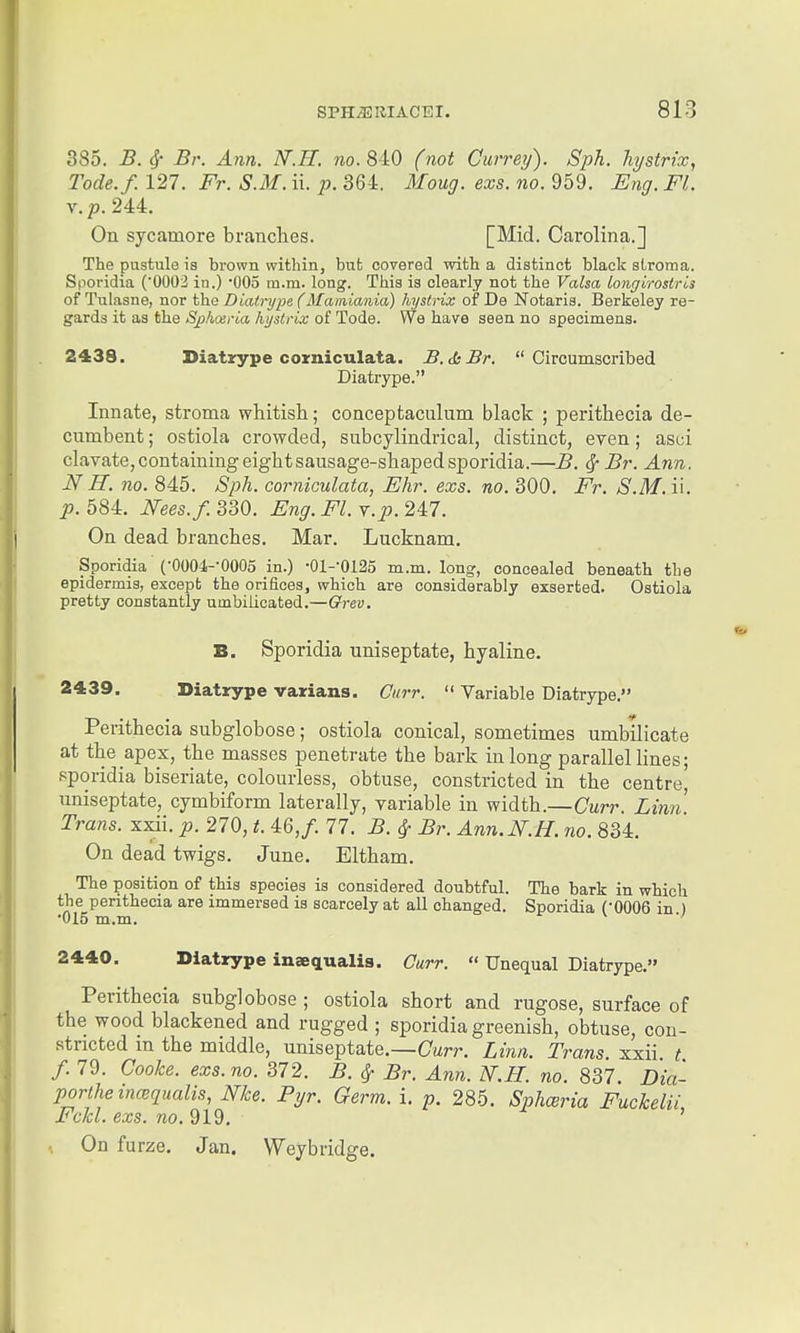 385. B. ^' Br. Ann. IV.IT. no. 8A0 (not Gurrey). Sph. hystrix, Tode.f. 127. Fr. S.M. ii. p. 364. Moug. exs. no. 959. Eng. Fl. v.p. 244. On sycamore branches. [Mid. Carolina.] The pustule is brown within, but covered with a distinct black stroma. Sporidia (0002 in.) '005 m.m. long. This is clearly not the Valsa longirostris of Tulasne, nor iha Diatrype(Mamiania) hysirix of De Notaris. Berkeley re- gards it as the Sphoeria, hystrix of Tode. We have seen no specimens. 2438. Diatxype corniculata. B.diBr. Circumscribed Diatrype. Innate, stroma whitish; conceptaculum black ; perithecia de- cumbent ; ostiola crowded, subcylindrical, distinct, even; asci clavate, containing eight sausage-shaped sporidia.—B. ^ Br. Ann. N H. no. 845. Sph. corniculata, Ehr. exs. no. 300, Fr. S.M. ii. p. 584. Nees.f. 330. Eng.Fl. v.p. 247. On dead branches. Mar. Lucknam. Sporidia {•0004--000o in.) •01--0125 m.m. long, concealed beneath the epidermis, except the orifices, which are considerably exserted. Ostiola pretty constantly umbilicated.—Grev. B. Sporidia uniseptate, hyaline. 2439. Diatrype varians. Curr.  Variable Diatrype. Perithecia subglobose; ostiola conical, sometimes umbilicate at the apex, the masses penetrate the bark in long parallel lines; sporidia biseriate, colourless, obtuse, constricted in the centre' uniseptate, cymbiform laterally, variable in width.—Curr. Linn. Trans, xxii. p. 270, t. i6,f. 77. B. ^ Br. Ann.N.H. no. 834. On dead twigs. June. Eltham. The position of this species is considered doubtful. The bark in which the perithecia are immersed is scarcely at all changed. Sporidia COOOB in ) •015 m.m. r- V ./ 2440. Diatrype inaequalis. Curr.  Unequal Diatrype. Perithecia subglobose ; ostiola short and rugose, surface of the wood blackened and rugged ; sporidia greenish, obtuse, con- stricted m the middle, uniseptate.—Cun-. Linn. Trans, xxii t f. 79. Cooke, exs. no. 372. B. ^ Br. Ann. N.H. no. 837. Dia- portheincequalis, Nice. Pyr. Germ. i. p. 285. Splmria Fuckelii FcM. exs. ?zo. 919. ' On furze. Jan. Weybridge.