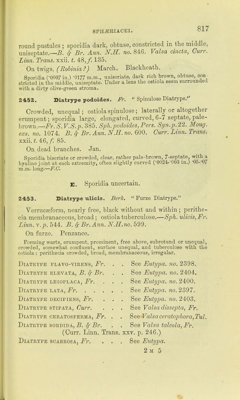 round pustules ; sporidia dark, obtuse, constricted in the middle, uniscptate.—5. cj- Br. Ann. N.H. no. 846. Valsa cincta, Gurr. Linn. Trans, xxii. t. 48,/. 135. Ontmgs. (Eobinia?) March. Blackheath. Sporidia (-0007111.) -0177 m.m., uuiseriate, dark rich brown, obtuse, con - stricted in the middle, uniseptate. Under a lens the ostiola seem surrounded with a dirty olive-green stroma. 2452, Diatrype podoides.  Spinulose Diatrype. Crowded, unequal; ostiola spinulose; laterally or altogether erumpent; sporidia large, elongated, curved, 6-7 septate, pale- brown.—i^r. S.V.S.p. 385. Sph.podoides,Fers. Syn.p.22. Moug. exs. no. 1074. B. ^ Br. Ann. N.H. no. 600, Curr. Linn. Trans. xxii. 46,/. 85. On dead branches. Jan. Sporidia biseriate or crowded, clear, rather pale-brown, 7-septate, with a hyaline joint at each extremity, often slightly curved (•0024.'003 in.) -QS-'OZ m.m. long.—F.G. E. Sporidia uncertain. 2453. Diatrype ulicis. BerJt.  Furze Diatrype. Verrucseform, nearly free, black without and within ; perithe- cia membranaceous, broad; ostiola tuberculose.—Sph. ulicis, Fr. Linn. Y.p. 544, B. ^ Br. Ann. N.H.no. 599. On furze. Penzance. Forming warts, erumpent, prominent, free above, subrotund or unequal, crowded, somewhat confluent, surface unequal, and tuberculose with the ostiola : perithecia crowded, broad, membranaceous, irregular. Diatrype fla.vo-virens, Fr. . . See Eutypa. no. 2398. Diatrype elevata, B. Sc Br. . . See Eutypa. no. 2404. Diatrype leioplaoa, Fr. . . . See Eutypa. no. 2400. Diatrype lata, Fr See Eutypa. no. 2397, Diatrype decipiens, Fr. . . . See Eutypa. no. 2403. Diatrype stipata, Curr. . . . See Valsa dissepta, Fr. Diatrype ceratosperma, Fr. . . Valsaceratophora,Tul. Diatrype sordida, B. ^ Br. . . See Valsa taleola, Fr. (Curr. Linn. Trans, xxv. p. 246.) Diatrype scabrosa, Fr. . . . See Eutypa.