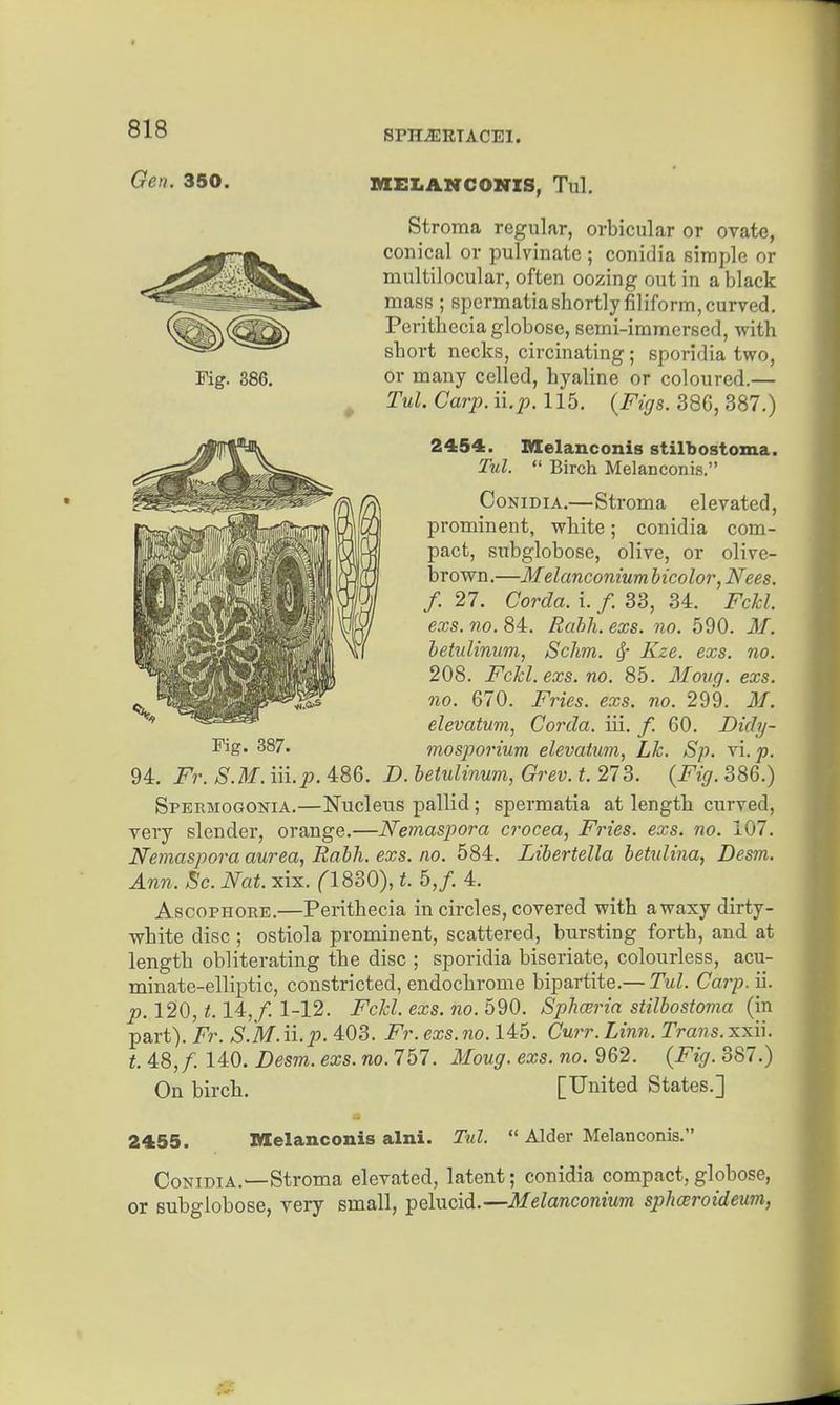 SPHJSRTACEl. Gen. 350. MELANCONXS, Tul, Stroma regular, orbicular or ovate, conical or pulvinate ; conidia simple or multilocular, often oozing out in a black mass ; spermatia shortly filiform, curved, Perithecia globose, semi-immersed, with short necks, circinating; sporidia two, Fig. 386. or many celled, hyaline or coloured.— ^ Tul. Carp. ii.p. 115. {Figs. 386, 387.) 2454. Melanconis stilbostoma. Tul.  Birch Melanconis. CoKiDiA.—Stroma elevated, prominent, white; conidia com- pact, subglobose, olive, or olive- brown.—Melanconium bicolor, Nees. f. 27. Corda. i. /. 83, 34. Fckl. exs. no. 84. Rahh. exs. no. 590. M. hetnlinum, Schm. ^ Kze. exs. no. 208. Fckl. exs. no. 85. Moug. exs. no. 670. Fries, exs. no. 299. M. elevatum, Corda. iii. /. 60. Didy- mosporium elevatum, Lk. Sp. vi. p. 94. Fr. S.M. iii.p. 486. D. betulinum, Grev. t. 273. {Fig. 386.) Spermogonia.—Nucleus pallid ; spermatia at length curved, very slender, orange.—Nemaspora crocea, Fries, exs. no. 107. Nemaspora aurea, Rabh. exs. no. 584. Libertella betidina, Desm. Ann. Sc. Nat. xix. (1830), t. 5,/. 4. AscopHORE.—Perithecia in circles, covered with awaxy dirty- white disc ; ostiola prominent, scattered, bursting forth, and at length obliterating the disc ; sporidia biseriate, colourless, acu- minate-elliptic, constricted, endochrome bipartite.— Tul. Carp. ii. p. 120, 1.14,/. 1-12. Fckl. exs. no. 590. Sphceria stilbostoma (in part). Fr. S.M. n.p. 403. Fr. exs. no. 145. Curr. Linn. Trans, xxii. t. 48,/. 140. Desm. exs. no. 757. Moug. exs. no. 962. {Fig. 387.) On birch. [United States.] Fig. 387. 2455. Melanconis alni. Tul.  Alder Melanconis. Conidia.—Stroma elevated, latent; conidia compact, globose, or subglobose, very small, pelucid.—Melanconium spharoideum,