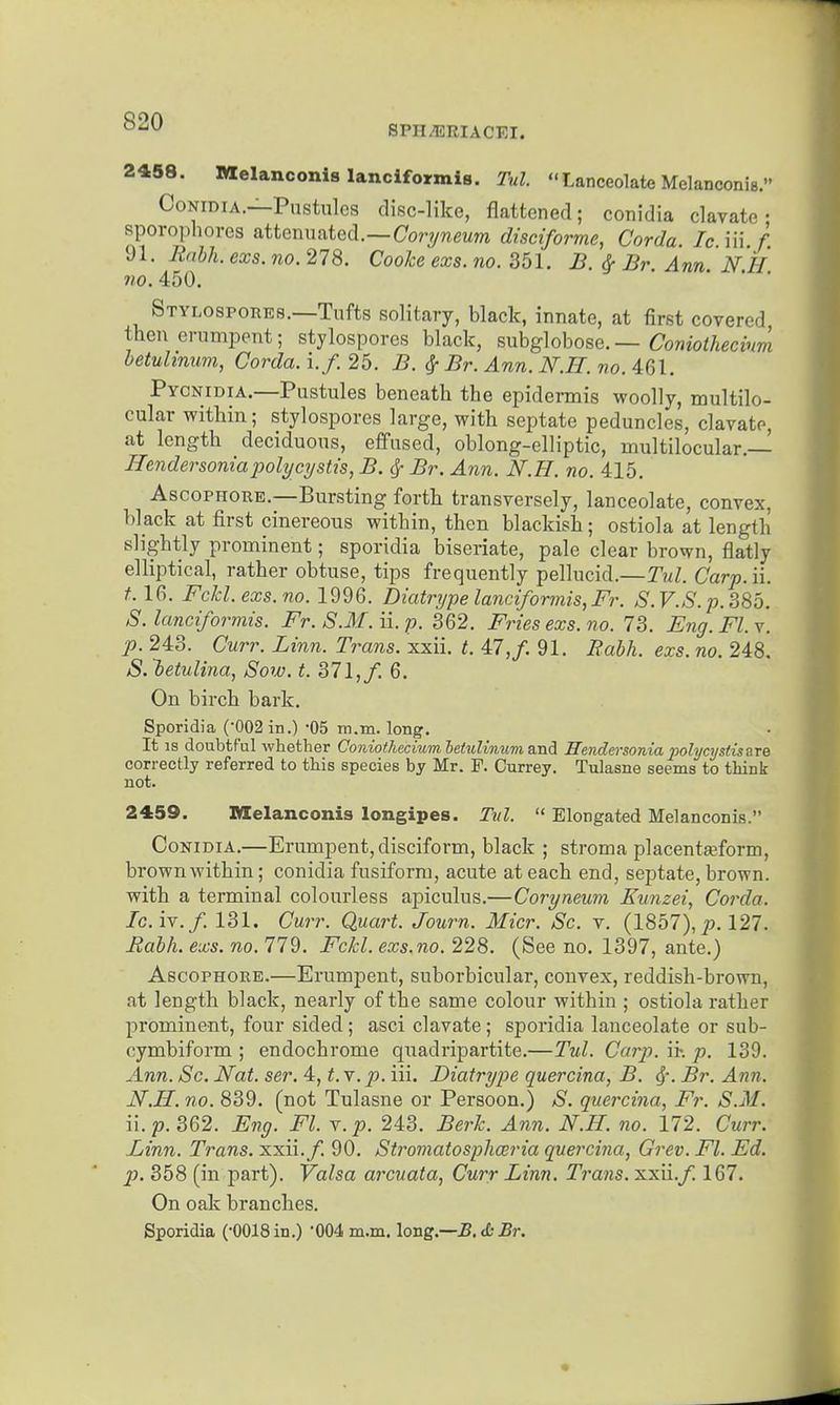 SPH^RIACEI. 2458. Melanconis lanciformis. Tul. Lanceolate Melanconis. CoNiDiA.—Pustules disc-like, flattened; conidia clavate • sporophoros attenuated.—Co?-?/?ieuni disciforme, Corda Ic iii /. 91. Rnbh. exs. no. 278, Cooke exs. no. 351. JB. ^ Br. Ann NH no. 450. Stylospores.—Tufts solitary, black, innate, at first covered then erumpent; stylospores black, mhg\oho8Q.—Coniothecinm hetuhnum, Corda. If. 25. B. ^ Br. Ann. N.H. no. 461. Pycnidia.—Pustules beneath the epidermis woolly, multilo- cular within; stylospores large, with septate peduncles, clavate, at length deciduous, effiised, oblong-elliptic, multilocular.— Hendersoniapolycystis, B. Sf Br. Ann. N.H. no. 415. AscoPHORE.—Bursting forth transversely, lanceolate, convex, black at first cinereous within, then blackish; ostiola at length slightly prominent; sporidia biseriate, pale clear brown, flatly elliptical, rather obtuse, tips frequently pellucid.—Tul. Carp. ii. t.lC^. Fckl.exs.no. 1996. Diatrype lanciformis, Fr. S.V.S. p. 386. S. lanciformis. Fr. S.M. ii. p. 362. Fries exs. no. 73. Eng. Fl. v. ■p. 243. Curr. Linn. Trans, xxii. t. 47,/. 91. Rabh. exs. no. 248. S. letulina, Sow. t. 371, f. 6. On birch bark, Sporidia (002 in.) 05 m.m. long. It IS doubtful whether Co7iioihecium heiulinum and Hendersonia pohjcystisare correctly referred to this species by Mr. F. Currey. Tulasne seems to think not. 2459. Melanconis longipes. Tul.  Elongated Melanconis. Conidia.—Erumpent, disciform, black ; stroma placentasform, brown within; conidia fusiform, acute at each end, septate, brown, with a terminal colourless apiculus.—Coryneum Eunzei, Corda. /civ./. 131. Curr. Quart. Journ. Micr. Sc. v. (1857),127. Rahh. exs. no. 779, Fckl. exs.no. 228, (See no, 1397, ante.) AscoPHORE.—Erumpent, suborbicular, convex, reddish-brown, at length black, nearly of the same colour within ; ostiola rather prominent, four sided; asci clavate; sporidia lanceolate or sub- cymbiform ; endochrome quadripartite.—Tul. Carp, ik p. 139. Ann. Sc. Nat. ser. 4, t. v. p. iii. Diatrype quercina, B. Br. Ann. N.H. no. 839. (not Tulasne or Persoon.) *S'. quercina, Fr. S.M. ii.p. 362. Eng. Fl. r.p. 243. Berk. Ann. N.H. no. 172. Curr. Linn. Trans, xxii./. 90. Stromatosphceria quercina, Grev. Fl. Ed. p). 358 (in part). Valsa arcuata, Curr Linn. Trans, xxii./. 167, On oak branches. Sporidia (-0018 in.) '004 m.m. long.—J5. <fc .Br.