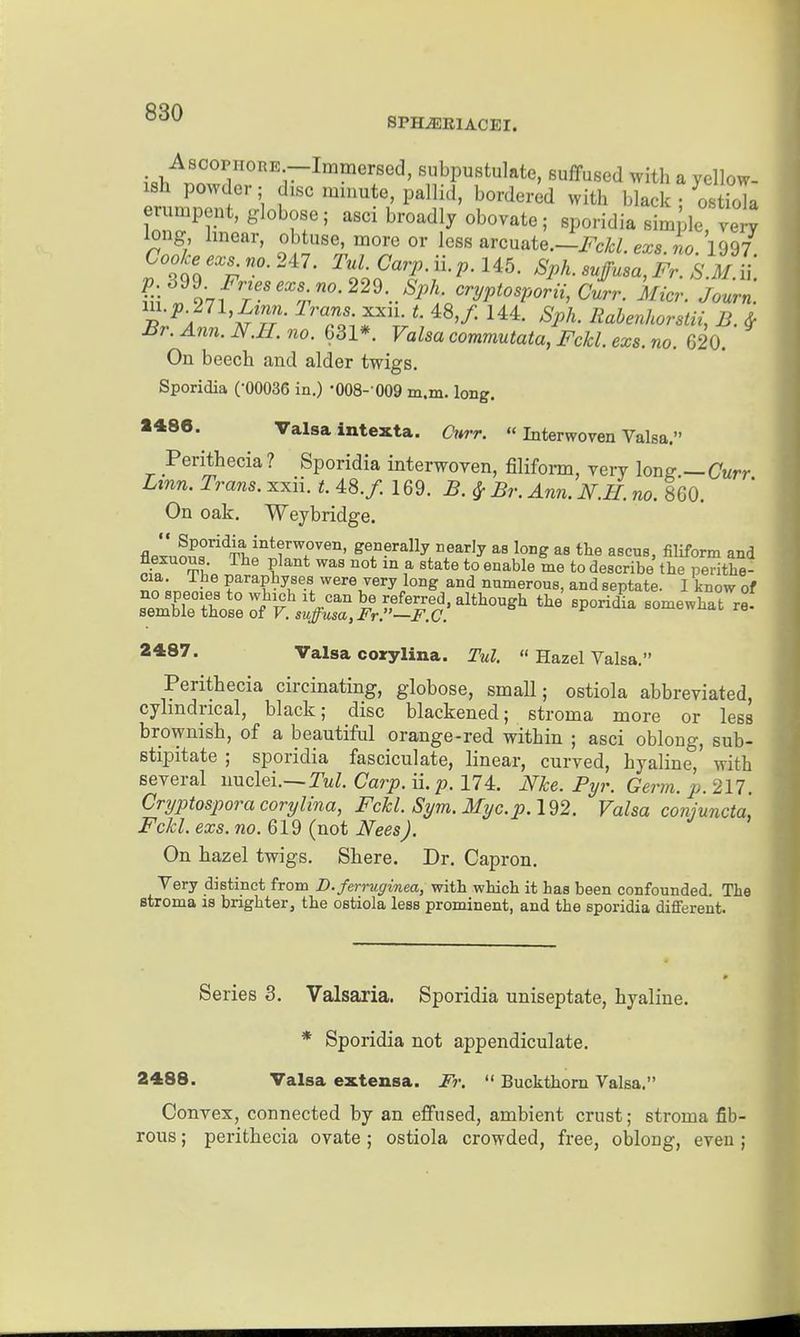 SPHJSKIACEI. _ AsoopHORE —Immersed, subpustulate, suffused with a yellow ish powder; disc minute, pallid, bordered with blae ; CoTa erumpent, globose; asci broadly obovate; sporidia simple, very long hnear, obtuse, more or less arcuate.—i?^c/c/. exs. «o. 1997 Cooke exs no. Tul CarpMp.Ub. Sph. snffusa,Fr. S.M.i\ ^.399. i^ne«.x. «o.229. ^^A. cryptosporii, dr. Micr. Journ Br. Ann. N.H. no. 631*. Valsa commutata, Fckl. exs. no. 620. On beech and alder twigs. Sporidia (-00036 in.) -008- 009 m.m. long. 1486. Valsa intexta. Curr.  Interwoven Valsa. Perithecia ? Sporidia interwoven, filifonn, very long.—Curr Linn. Trans, xxii. t. 48./. 169.5.^ Br. Ann. N.H. no. 860. On oak. Weybridge. flplnnn,°^it,r^?'T''^°' generally nearly as long as the aecns, filiform and 5if t''''^ ^^ f ^° t° describe the perithe- ;ninr»! f'^P^yf'^■t were very long and numerous, and septate. I know of 2487. Valsa corylina. Tul.  Hazel Valsa. Perithecia circinating, globose, small; ostiola abbreviated, cylindrical, black; disc blackened; stroma more or less brownish, of a beautiful orange-red within ; asci oblong, sub- stipitate ; sporidia fasciculate, linear, curved, hyaline, with several nuclei.—Tm^. Carp. n.p. 174. Nke. Pyr. Germ. p. 217. Cryptospora corylina, Fckl. Sym. Myc.p.l92. Valsa conjuncta, Fckl. exs. ?jo. 619 (not Nees). On hazel twigs. Sbere. Dr. Capron. Very distinct from D.ferruginea, with which it has been confounded. The stroma is brighter, the ostiola less prominent, and the sporidia different. Series 3. Valsaria. Sporidia uniseptate, hyaline. * Sporidia not appendiculate. 2488. Valsa exteusa. Fr.  Buckthorn Valsa. Convex, connected by an effused, ambient crust; stroma fib- rous ; perithecia ovate; ostiola crowded, free, oblong, even;