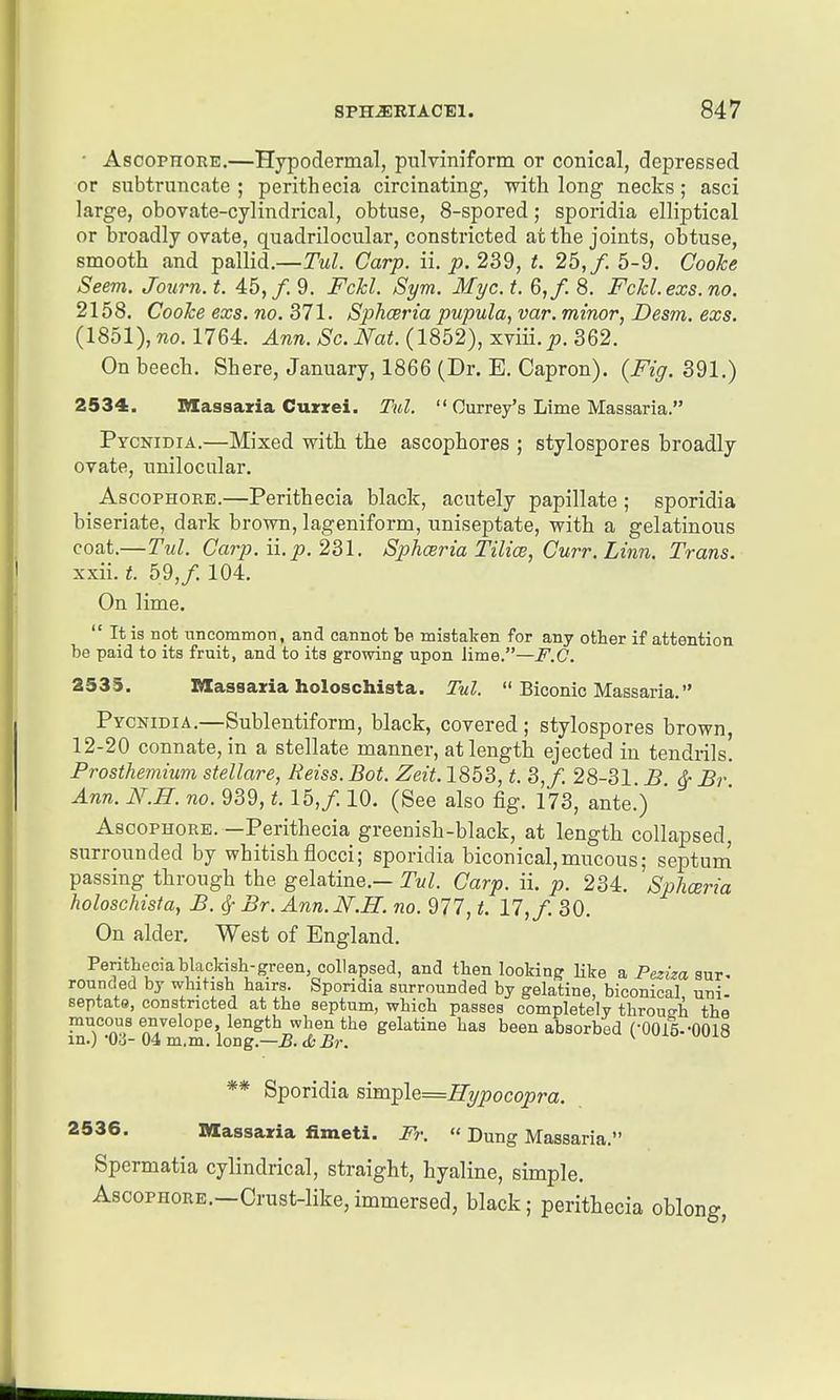 • AscoPHORE.—Hypodermal, pulviniform or conical, depressed or subtriincate ; perithecia circinating, with long necks; asci large, obovate-cylindrical, obtuse, 8-spored; sporidia elliptical or broadly ovate, quadrilociilar, constricted at the joints, obtuse, smooth and pallid.—Tul. Carp. ii. j9. 239, L 25,/. 5-9. Coohe Seem. Journ. t. 45,/. 9. Fchl. Sym. Myc. t. 6,f. 8. Fckl.exs.no. 2158. Coohe exs. no. 371. Sphceria pupula, var. minor, Desm. exs. (1851), «o. 1764. Ann. Sc. Nat. (1852), mi. p. 362. On beech. Shere, January, 1866 (Dr. E. Capron). {Fig. 391.) 2534. nCassaxia Currei. Tul.  Ourrey's Lime Massaria. Pycnidia.—Mixed with the ascophores ; stylospores broadly ovate, unilocular. AscoPHORE.—Perithecia black, acutely papillate ; sporidia biseriate, dark brown, lageniform, uniseptate, with a gelatinous coat.—Tul. Carp. ii. p. 281. Sphceria Tilice, Curr. Linn. Trans. xxii. t. 59,/. 104. On lime.  It is not nncommon, and cannot be mistaken for any other if attention be paid to its fruit, and to its growing upon lime.—F.O. 2535. Massaria holoschista. Tul.  Biconic Massaria. Pycnidia.—Sublentiform, black, covered; stylospores brown, 12-20 connate, in a stellate manner, at length ejected in tendrils. Prosthemium stellare, Reiss. Bot. Zeit. 1853, t. 3,/. 28-31. B. ^ Br Ann. N.H. no. 939,1.15,/. 10. (See also fig. 173, ante.) AscoPHORE. —Perithecia greenish-black, at length collapsed, surrounded by whitishflocci; sporidia biconical,mucous; septum passing through the gelatine.— Tul. Carp. ii. p. 234. Sphceria holoschista, B. ^ Br. Ann. N.H. no. 977, t. 17, f. 30. On alder, West of England. Peritheciablackisb-green, collapsed, and then looking Hke a Peziza anr- rounded by whitish hairs. Sporidia surrounded by gelatine, biconical, uni- septate, constricted at the septum, which passes completely through the mucous envelope, length when the gelatine has been absorbed COOll-OOlS in.; •Ou- 04 m.m. long.—B. ds Br. ** Sporidia simplG=ffypocopra. 2536. Massaria fimeti. Fr.  Dung Massaria. Spermatia cylindrical, straight, hyaline, simple. AscoPHORE.—Crust-like, immersed, black; perithecia oblong,