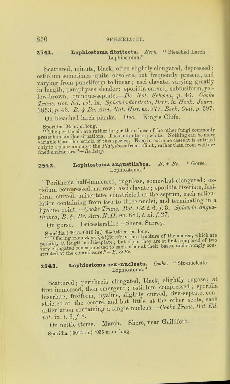 2541. Lophiostoma fibzitecta. Berk.  Bleached Larch LophioutoDia. Scattered, minute, black, often slightly elongated, depressed ; ostiolum sometimes quite obsolete, but frequently present, and varying from punctiforga to linear; asci clavate, varying greatly in length, paraphyses slender; sporidia curved, subfusiform,yel- low-brown, quinque-septate.—De Not. Schema, p. 46. Cooke Trans. Bat. Ed. vol. ix. Sj^hceriajibritecta, Berk, in Hook. Journ. 1853,2J. 43. B. cj- Br. Ann. Nat. Hist. no. Ill, Berk. Outl.p. 397. On bleached larch planks. Dec. King's Cliffe. Sporidia-04 m.m. long. i  The peritliecia are rather larger than those of the other fungi commonly present in similar situations. The contents are white. Nothing can be more variable than the ostiola of this species. Even in extreme cases it is entitled only to a place amongst the Platystomce fiom afi&nity rather than from well de- fined chareLcterB.—Berkeley. 2542. Lophiostoma angustilabxa. B. & Br.  Gorse. Lophiostoma.  Perithecia half-immersed, rugulose, somewhat elongated; os- tiolum compi-essed, narrow ; asci clavate ; sporidia biseriate, fusi- form, curved, uniseptate, constricted at the septum, each articu- latioA containing from two to three nuclei, and terminating m a hyalme point.—Ooo^e Trans. Bot. Ed. t. Q, f.B. Sphmia angus- tilabra, B. ^. Br. Ann. Nil. no. 881, t. xlf. 27. On gorse. Leicestershire—Shere, Surrey. Sooridia (•0015--0016 in.) •04.-043 m.m. long.  Differing from S. excijmlifornis in the structure of the spores, which are T,08siblv at lingth multiseptate j but if so, they are at first composed of two veS elongated cones opposed to each other at their bases, and strongly con- stricted at the commissure.—B. <i:Br. 2543. Lophiostoma sex-nucleata. Cooke. Six-nucleate Lophiostoma. Scattered; perithecia elongated, black, slightly rugose; at first immersed, then emergent ; ostiolum compressed ; sporidia biseriate, fusiform, hyaline, slightly curved, five-septate, con- stricted Li the centre, and but httle at the other septa each articulation containing a single nucleus.-Coo^e Trans.Bot.Ed. vol. ix. t. 6,/. 8. On nettle stems. March. Shere, near Gmldford.