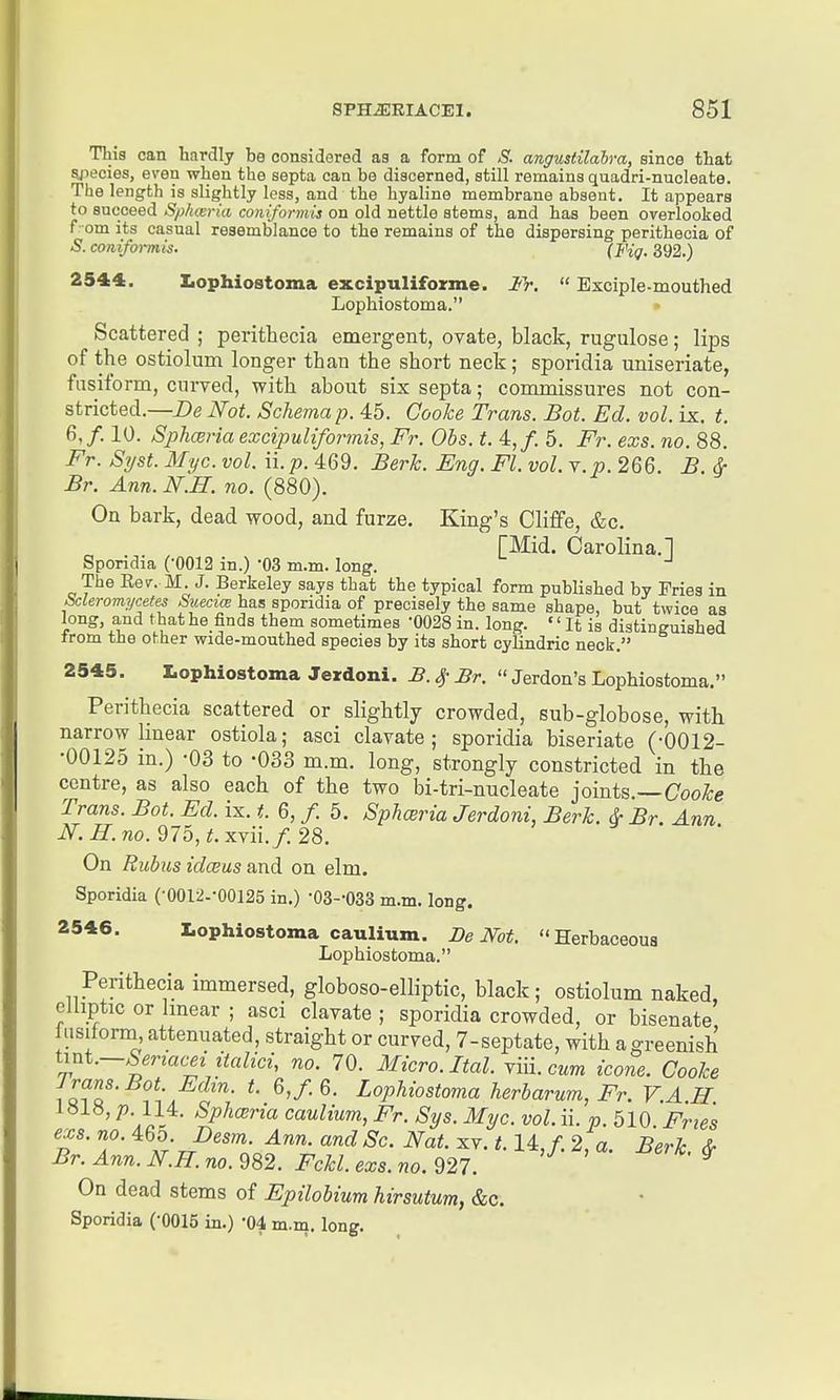 This can haTdly bs considored as a form of anffustilahva, since that secies, even when the septa can be discerned, still remains quadri-nucleate. The length is slightly less, and the hyaline membrane absent. It appears to succeed Sphceria coniformis on old nettle stems, and has been overlooked f om its casual resemblance to the remains of the dispersing peritheoia of 5. coniformis. (J^V-392.) 2544. liOphiostoma excipuliforme. It: Exciple-mouthed Lophiostoma. Scattered ; perithecia emergent, ovate, black, rugulose; lips of the ostiolum longer than the short neck; sporidia uniseriate, fusiform, curved, with about six septa; commissures not con- stricted.—Not. Schema p. 45. Cooke Trans. Bot. Ed. vol. ix. t. 6, /. 10. Sphceria excipuliformis, Fr. Obs. t. 4,/. 5. Fr. exs. no. 88. Fr. S^st. Myc. vol. ii.p. 469. Berk. Eng. Fl. vol. v.p. 266. B &■ Br. Ann. N.H. no. (880). On bark, dead wood, and furze. King's Clifife, &c. [Mid. Carolina. 1 Sporidia (-0012 in.) OS m.m. long. The Eev. M. J. Berkeley says that the typical form published by Fries in Scleromycetes Su.eciai has sporidia of precisely the same shape, but twice as long, and that he finds them sometimes -0028 in. long. It is distinguished from the ohher wide-mouthed species by its short cylindric neck. 2545. lophiostoma Jezdoni. B. Br. Jerdon's Lophiostoma. Perithecia scattered or slightly crowded, sub-globose, with narrow linear ostiola; asci clavate; sporidia biseriate (-0012- •00125 in.) -03 to -033 m.m, long, strongly constricted in the centre, as also each of the two bi-tri-nucleate joints.—Coo^e Trans. Bot. Ed. ix. t. 6, /. 5. Sphceria Jerdoni, Berk. &■ Br. Ann iV. iT. wo. 975, if. xvii./. 28, On Rubus idaius and on elm. Sporidia (■0012.-00125 in.) •03--033 m.m. long. 2546. lophiostoma caulium. Be Not. Herbaceous Lophiostoma. Perithecia immersed, globoso-elliptic, black; ostiolum naked, elliptic or linear ; asci clavate ; sporidia crowded, or bisenate liisiform attenuated, straight or curved, 7-septate, with a greenish ^^^■—Seriacei italici, no. 70, Micro. Ital. Ym.cum icone. Cooke Jrans.Bot. Edin. t. 6,f.6. Lophiostoma herbarum, Fr. V.A H 1818, p. 114. Sphceria caulium, Fr. Sys. Myc. vol. ii. « 510 Fries exs. no. 465 Besm. Ann. and Sc. Nat. xv. 1.14,/. 2, a. Berk. ^ Br. Ann. N.H. no. 982. Fckl. exs. no. 927. ^ On dead stems of Epilobium hirsutum, &c.