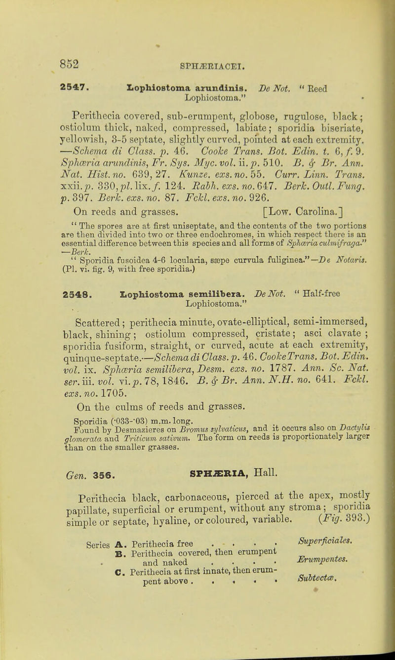 2547. LophioBtoma arundinis. Be Not,  Eeed Lophiostoma. Perithccia covered, sub-erumpent, globose, rugulose, black; ostiolum thick, naked, compressed, labiate; sporidia biseriate, yellowish, 3-5 septate, slightly curved, pointed at each extremity. —Schema di Class, p. 46. Cooke Trans. Bat. Edin. i. G, f. 9. Sphceria aiimdinis, Fr. Sys. Myc. vol. n.p. 510. B. ^ Br. Ann. Nat. Hist.no. 639,27. Kwize, exs.no. 56. Curr. Linn. Trans. xxii./). 330,pZ. lix./. 124. Babh. exs. no.Gil. Berk. Outl. Fung. p. 397. Berk. exs. no. 87. Fckl. exs. «o. 926. On reeds and grasses. [Low. Carolina.]  The spores are at first uniseptate, and tlie contents of the two portions are then divided into two or three endoehromes, in which respect there is an essential difference between this species and all forms of Splueria culmifraga. —Berk.  Sporidia fusoidea 4-6 locularia, ssepe curvula fuliginea.—JDe Notaris. (PI. vi. fig. 9, with free sporidia.) 2548. Iiophiostoma semilibeira. Be Not. Half-free Lophiostoma. Scattered; peritbecia minute, ovate-elliptical, semi-immersed, black, shining; ostiolum compressed, cristate; asci clavate ; sporidia fusiform, straigbt, or curved, acute at eacb extremity, quinque-septate.—Schema di Class, p. 46. CookeTrans. Bot. Edin. vol. ix. Sphceria semilibera, Desm. exs. no. 1787. Ann. Sc. Nat. ser.iii. vol. Vi.p. 78,1846. B. ^ Br. Ann. N.H. no. 641. Fckl. exs. no. 1705. On the culms of reeds and grasses. Sporidia (-OSS-'OS) m.m. long. Found by Desmazieres on Bromus sylvaiicus, and it occurs also on Dactylu glomerata and Tritimm sativum. The form on reeds is proportionately larger than on the smaller grasses. Gen. 356. SPHiERIA, Hall. Peritbecia black, carbonaceous, pierced at the apex, mostly papillate, superficial or erumpent, without any stroma; sporidia simple or septate, hyaline, or coloured, variable. {Fig. 393.) Series A. Perithecia free ... • Superficiales. B. Perithecia covered, then erumpenl and naked .... Ernmpentes. C. Perithecia at first innate, then erum- pent above Subtecta.