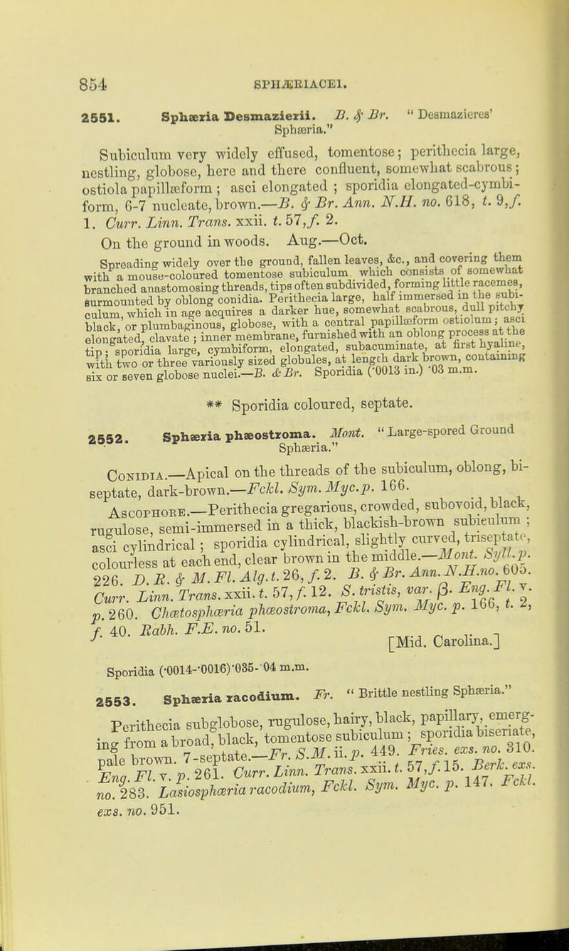 2551. Sphsexia Desmazierii. B.SfBr.  Desmazieres' Spha3ria, Subiculum very widely effused, tomentose; perithecia large, nestling, globose, liere and there confluent, somewhat scabrous; ostiola papillieform ; asci elongated ; sporidia elongated-cymbi- form, 6-7 nucleate, brown.—iS. ^ Br. Ann. N.H. no. 618, t. 9,/. 1. Curr. Linn. Trans, xxii. t. 67, f. 2. On the ground in woods. Aug.—Oct. Spreading widely over tbe ground, fallen leaves, &c., and covering them with a mouse-coloured tomentose subiculum which consists of somewhat branched anastomosing threads, tips often subdivided forming httle racemes, surmounted by oblong conidia. Perithecia large, half immersed the hubi culum, which in age acquires a darker hue, somewhat scabrous dull pitchy blaX or plumbaginous, globose, with a central papilteform ostiolum; asci Ingatedf clavate ; inner^membrane. furnished with an of 1°°^ P.^^Xlune tin • SDoridia large, cymbiform, elongated, subacummate, at first hyaime, wfth two or three^'ariously sized globules, six or seven globose nuclei.-B. &Br. Sporidia COOlS m.) 03 m.m. ** Sporidia coloured, septate. 2552. Sphseria phaeostroma. Mont.  Large-spored Ground SphEeria. CoNiDiA.—Apical on the threads of the subiculum, oblong, bi- septate, dark-brown.—i^cH. 166. AscoPHORE.—Perithecia gregarious, crowded, subovoid, black, rugulose, semi-immersed in a thick, blackish-brown subieulum ; asd cylindrical; sporidia cylindrical shghtly curved tnse at , coloui-less at each end, clear brown m the middle -iJfoTii^ Si/Jl.p. ITd.B. ^ M. Fl. Alg. t. 26, /. 2. B. ^ Br. Ann.N.H.no. mo Curr. Linn. Trans, xxii. t. bl, f. 12. S. trrsUs, var ^. Eng. Fl v. p. 260. Chcetosphceria phceostroma, Fckl. Sym. Myc. p. Ibb, t. f. AO. Babh. F.E.no.61. , ^ ■,. n [Mid. Carolina.] Sporidia (•0014--0016)-035. 04 m.m. 2553. Sph«riaracodium. Fr.  Brittle nestling Sph^ria. Perithecia subglobose, nigulose, hairy, black, papillary emerg- ai browB. 7-se'ptate.-i^..^J/.ii.i- 449 -^^^^Jj^; Ena Fl. v. p. 261. Curr. Linn. Trans xxii. t. 57,/. l^- J^r^^^^. fo 283. Lasiosphceriaracodium,Fckl. Sym. Myc. p. 147. Fell. exs. no. 951.