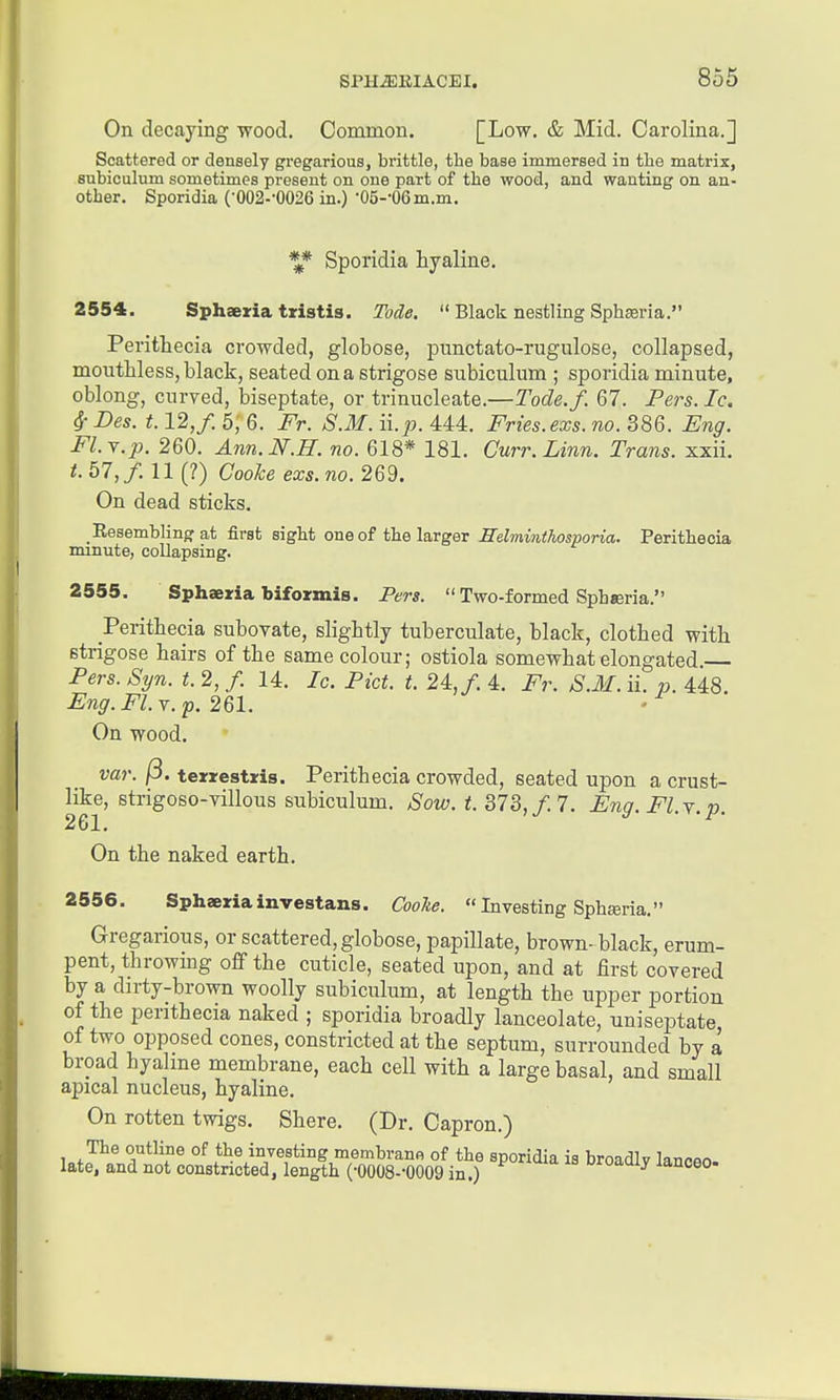 On decaying wood. Common. [Low. & Mid. Carolina.] Scattered or densely gregarious, brittle, the base immersed in the matrix, subiculum sometimes present on one part of the wood, and wanting on an- other. Sporidia (■002--0026 in.) •05--06m.m. Sporidia hyaline. 2554. Sphseriatristis. TocLe.  Black nestling Sphseria. Perithecia crowded, globose, punctato-rugulose, collapsed, mouthless, black, seated ona strigose snbiculum ; sporidia minute, oblong, curved, biseptate, or trinucleate.—Tode.f. 67. Pers. Ic, S,- Des. 1.12, f. 5; 6. Fr. S.M. ii.jy. 444. Fries, exs. no. 386. Eng. Fl.Y.2). 260. Ann.N.H. no. 618* 181. Curr. Linn. Trans, xxii. t. 67, f. 11 (?) Cooke exs. no. 269. On dead sticks. Eesemblingf at first sight one of the larger Eelminthosporia. Perithecia minute, collapsing. 2555. Sphaeria biformis. Pers.  Two-formed Sphjeria. Perithecia subovate, slightly tuberculate, black, clothed with strigose hairs of the same colour; ostiola somewhat elongated Pers. Syn. t. 2, /. 14. Ic. Pict. t. 24., f. 4. Fr. S.M. ii. p. 448. Eng. Fl.Y. p. 2QI. On wood. var. /3. texrestxis. Perithecia crowded, seated upon a crust- like, strigoso-villous subiculum. Sow. t. ^ld,f.l. Eng.Fl.r.p. 261. On the naked earth. 2556. Sphaexiainvestans. Cooke.  Investing Sphteria. Gregarious, or scattered, globose, papillate, brown-black, erum- pent, throwing off the cuticle, seated upon, and at first covered by a dirty-brown woolly subiculum, at length the upper portion of the perithecia naked ; sporidia broadly lanceolate, uniseptate of two opposed cones, constricted at the septum, surrounded by a broad hyaline membrane, each cell with a large basal, and small apical nucleus, hyaline. On rotten twigs. Shere. (Dr. Capron.) lo T*^?® °^ the investing membrane of the sporidia is broadly lanoeo- late, and not constricted, length (■0008--0009 in.) ^oiuiy lanoeo-