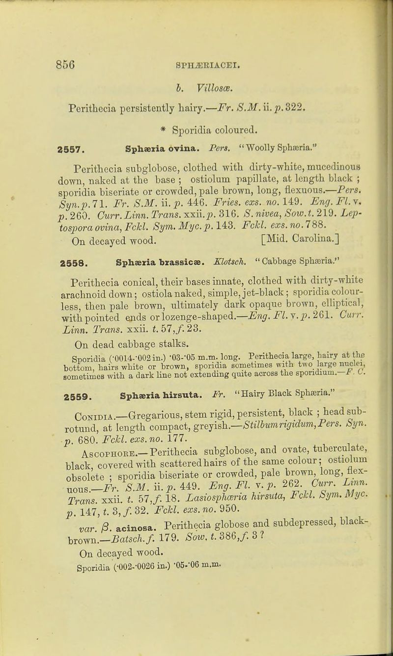 h. VilloSCB. Pcrithccia persistently hairy.—Fr. S.M. ii.p.322. * Sporidia coloured. 2557. Sphaexia ovina. Pers.  Woolly Sphseria. Peritliccia subglobose, clothed with dirty-white, mucedinous down, naked at the base ; ostiolum papillate, at length black ; sporidia biseriate or crowded, pale brown, long, flexuous.—Pers. Syn.p.ll. Fr. S.M. n. p. 446. Fries, exs. no. 149. Eng. Fl.v. p. 260. Gurr.Linn. Trans. xxii.|). 316. S. nivea, Sow.t. 219. Lep- tospora ovina, Fclcl. Sym, Myc.p. 143. FcU. exs. no. 788. On decayed wood. [Mid. Carolina.] 2558. Sphseria brassicae. Elotsch.  Cabbage Sphjeria. Perithecia conical, their bases innate, clothed with dirty-white arachnoid down; ostiola naked, simple, jet-black; sporidia colour- less, then pale brown, ultimately dark opaque brown, elliptical, with pointed ends or lozenge-shaped.—jEn^-. i^Z. v. i?. 261. Carr. Linn. Trans, xxii. t. b7,f. 23. On dead cabbage stalks. Sporidia (•0014--002iii.) -OS-'OS m.m. long. Perithecia large, hairy at the bottom, hairs white or brown, sporidia sometimes with two large nuclei, sometimes with a dark line not extending quite across the sporidium.—. 0. 2559. Spharia hirsuta. Fr. Hairy Black Sphseria. CoNiMA.—Gregarious, stem rigid, persistent, black ; head sub- rotund, at length compact, gvejis]i.—Stilbumrigidum,Fers. Syn. p. 680. Fckl. exs.no. 177. AscoPHOKE.—Perithecia subglobose, and ovate, tuberculate, black, covered with scattered hairs of the same colour; ostiolum obsolete : sporidia biseriate or crowded, pale brown, long, tlex- Zus—Fr S.M. ii.p.449. Eng. Fl. v. p. 262. Curr. Linn. Trans, xxii. t. 67, f. 18. Lasiosphceria hirsuta, Fckl. Sym. Myc. p. 147, t. 3, /. 32. Fckl. exs. no. 950.  var /3 acinosa. Perithecia globose and subdepressed, black- brown.-i?atsc/i./. 179. Sow. t. 386,/. 3 ? On decayed wood. Sporidia (•002--0026 in.) 'OS-'Oe m.m.