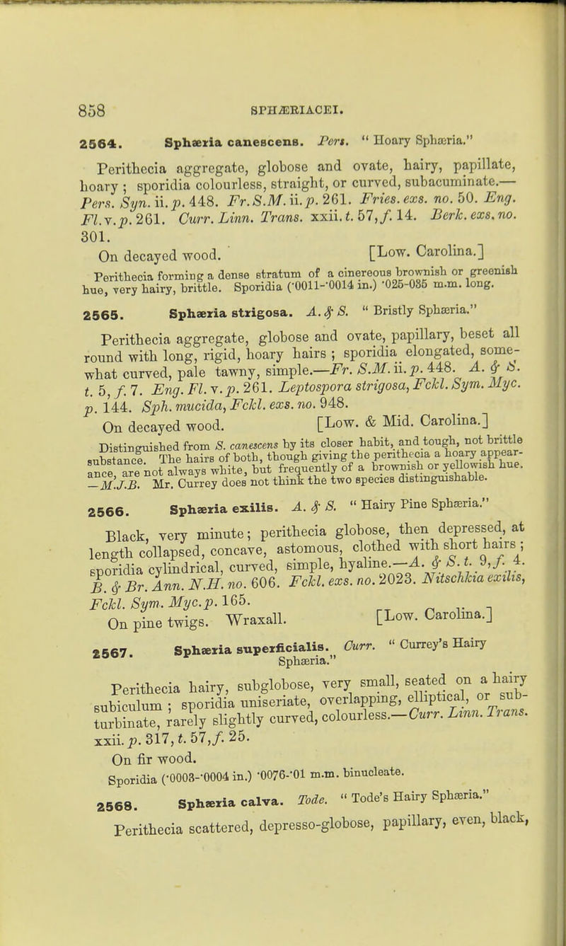 2564. Sphaexia canescens. Pert.  Hoary SphaBria. Perithecia aggregate, globose and ovate, hairy, papillate, hoary ; Bporidia colourless, straight, or curved, subacuminate.— Peru. Syn. \\.p. 448. Fr.S.M. '\\.p. 261. Fries, exs. no. 50. Eng. Fl.Y.p.2Ql. Curr. Linn. Trans, xxii.t. 67, f.U. Berk.exs.no. 301. On decayed wood. ' [Low. Carolina.] Peritliecia forming a dense Btratum of a cinereous brovniish or greenish hue! veSTairy, b^^i^tle. Sporidia COOll-'OOU in.) -025-085 m.m. long. 2565. Sphaeria strigosa. A.^S.  Bristly Spha3ria. Perithecia aggregate, globose and ovate, papillary, beset all round with long, rigid, hoary hairs ; sporidia elongated some- what curved, pale tawny, simple.—i^r. S.M.n.pAA^ A. ^ b. t. 5, /. 7. Eng. Fl. v. p. 261. Leptospora strigosa, Fckl. bym. Myc. p 144. Sph. mucida, Fckl. exs. no. 948. ' On decayed wood. [Low. & Mid. Carolina.] Distineuished from S. canescens by its closer habit, and tough, not brittle substance The hairs of both, though giving the penthecia a boary appear- ance ^re not always white, but frequently of a browjish or yellowish hue. -M.Ib. Mr. Currey does not think the two species distinguishable. 2566. Sphsexia exilis. A. ^ S.  Hairy Pine Sph^ria. Black, very minute; perithecia globose, then depressed, at length collapsed, concave, astomous clothed ^^th short hairs ; Bporidia cylindrical, curved, simple, hjalme.--A.Jr S. t 4. T^Br. Ann. N.H. no. 606. Fckl. exs. no. 2023. Nitschkia exihs, Fckl. Sym.Myc.p.lQb. ^ v -i On pine twigs. Wraxall. [Low. Carolma.] •567 Sph«Tia superficialis. Curr.  Currey's Hairy Sphseria. Perithecia hairy, subglobose, very small, seated on a hairy Bubiculum : sporidia uniseriate, overlappmg, elliptic a , or sub- tuZat barely slightly curved, colourless.-C«rr. L^nn. Trans. xxii. p. 317,^.57,/. 25. On fir wood. Sporidia (•0003--0004in.) •0076--01 m.m. binucleate. 2568. Sph«»a calva. Tode.  Tode's Hairy Sphisria. Perithecia scattered, depresso-globose, papillary, even, black,