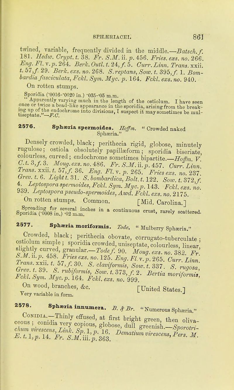 twined, variable, frequently divided in the middle.—Batsch.f. 181. Hedw. Crypt, t. 38. Fr. S.M. i\.p. 456. Fries, exs. no. 266. Fng. Fl. r.p. 264. Berk. Outl. t. 24,/. 5. Gurr.Linn. Trans, xxii. t. b7,f. 29. Berk. exs. no. 268. S.reptans, Sow. t. 395,/. 1. Bom- bardia fasciculata, Fckl. Sym. Myc. p. 164. Fckl. exs. no. 940. On rotten stumps. Sporidia COOlS-'OOaO in.) 'OSS-'OS m.m. Apparently varying much in the length of the ostiolnm. I have seen pnce or twice a bead-hire appearance in the sporidia, arising from the break- ing up o. the endochrome into divisions, I suspect it may sometimes be mul- tiseptate. —F.C. 2576. Sphaeria spermoides. Hoffm.  Crowded naked Sphffiria. Densely crowded, black; perithecia rigid, globose, minutely rugulose; ostiola obsolutely papill^fonn; sporidia biseriate, colourless, curved; endochrome sometimes bipartite.—^o/m V 0.t.3,f.3. Moug.exs.no. 486. Fr. S.M. ii. p. 4:57. Gurr.Linn. Trans, xxu. t. 57,/ 36. Fng. Fl. v. p. 265. Fries exs. no. 237. trrev. t. 6. Light t. 31. S. homhardica, Bolt. 1.122 Sow t 372 f. 4. Leptospora spermoides, Fckl. Sym. Myc.p. 143. Fckl. 'exs. no. y^y. Leptosporapseudo-spermoides, Awd. Fckl. exs. no. 2175. On rotten stumps. Common. [Mid. Carolina.] SpS[dTa%8Tn.rorm.ii!°^ ^ --^^ mattered. 2577. Sphaeria moriformis. Tode.  Mulberry Sphsria. Crowded, black; perithecia obovate, corrugato-tuberculate o^tiolum smiple ; spondia crowded, uniseptate, colourless, linear, Bh^tly curved, granular.-TocZ./ 90. Moyg. exs. no. 382. Fr ^•^■n-P-J58. Fries exs. no. 125. Fng.Fl.Y.p.265. Curr Linn Trans. xxu. t. 51 J. 30. S. claviformis, Sow! 337. S. ^qZ J^ckl. Sym. Myc.p. 164. Fckl. exs. no. 999. On wood, branches, c&c. [United States.] Very variable in form. 2578. Sphsriainnumera. B. ^ Br. Numerous Sph^ria. CoNiDiA.-Thinly effused, at first bright green, then oliva ceous ; conuha very copious, globose, dull gr^nlsh -SporJtrf chum virescens. Link. Sv 1 n Ifi n.^ 7 ' '^orotn- £^.t.l,p.U. Fr. S.MaI'p.'363. ^'''''''^''''''^^^ ^ers. M.