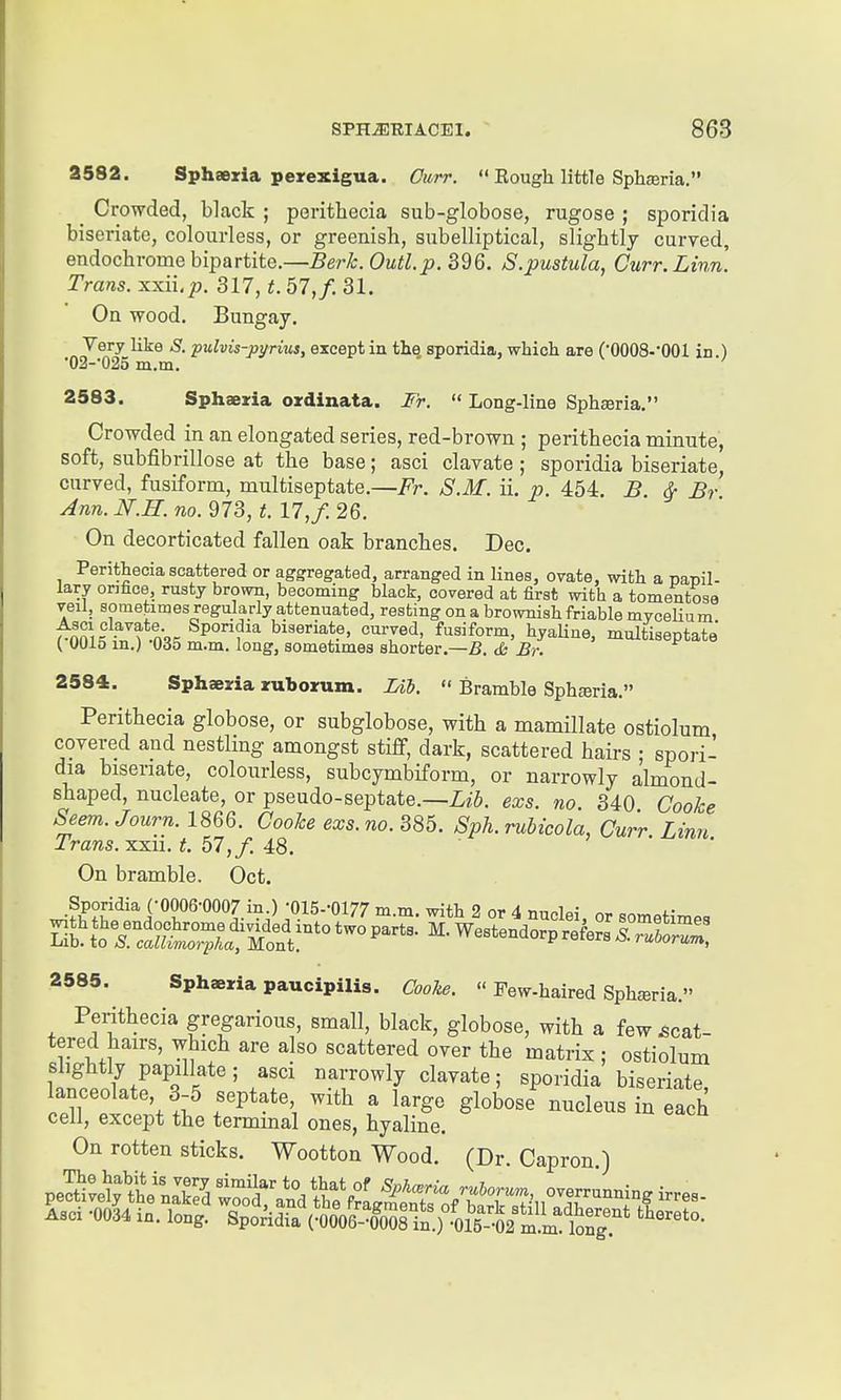 2582. Sphaexia perexigua. Cwrr.  Rough little SphEeria. _ Crowded, black ; perithecia sub-globose, rugose ; sporidia biseriate, colourless, or greenish, subelliptical, slightly curved, endochrome bipartite.—Berk.Outl.p. 396. S.pustula, Curr.Linn. Trans, xxii.p. 317, t. 57,/. 31. On wood. Bungay. Very like S. pulvis-pyrius, except in the, sporidia, which are ('OOOS-'OOl in.) *02-'025 m.m. 2583. Sphaeria ordinata. Fr.  Long-line Sph^ria. Crowded in an elongated series, red-brown ; perithecia minute, soft, subfibrillose at the base; asci clavate ; sporidia biseriate, curved, fusiform, multiseptate.—Fr. S.M. ii. j*. 454. B & Br Ann. N.H. no. 973, t. 17, f. 26. On decorticated fallen oak branches. Dec. Perithecia scattered or aggregated, arranged in lines, ovate, with a nanil- lary orifice, rusty brown, becoming black, covered at first with a tomentose veil, sometimes regularly attenuated, resting on a brownish friable mvceUu m Asci clavate Spondia biseriate, curved, fusiform, hyaUne, multiseptate { UU15 in.) -035 m.m. long, sometimes shorter.—B, & Br. 2584. Sphaeria ruborum. Lii.  Bramble Sphreria. Perithecia globose, or subglobose, with a mamillate ostiolum covered and nestling amongst stiff, dark, scattered hairs ; spori- dia biseriate, colourless, subcymbiform, or narrowly almond- shaped, nucleate, or pseudo-septate.—exs. no. 340 Cooke Seem. Journ. 1866. Cooke exs.no. 385. Sph. rubicola, Curr Linn Trans, xxii. t. 57,f. 4:8. i • . On bramble. Oct. Sporidia COOOe-OOO? in.) -OlS-'Ol?? m.m, with 2 or 4 nnplfii .^,v,„+- 2585. Sphjeria paucipilis. Cooke.  Few-haired Sphseria. Perithecia gregarious, small, black, globose, with a few scat- tered hairs, which are also scattered over the matrix : ostiolum slightly papzUate; asci narrowly clavate; sporidia biseriate, lanceolate, 3-5 septate with a large globose nucleus in each cell, except the terminal ones, hyaline. On rotten sticks. Wootton Wood. (Dr. Capron )
