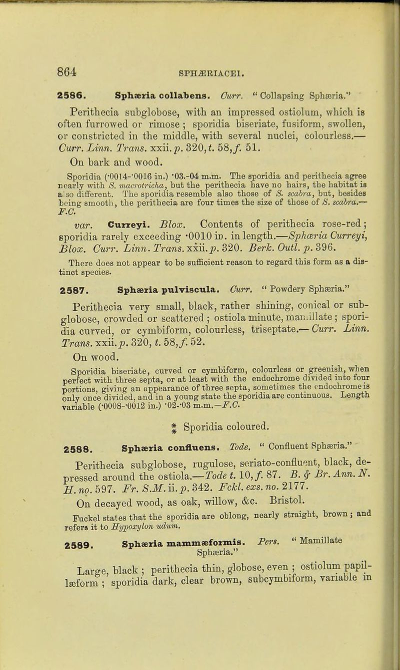 2586. Sphaeria collabens. Cwrr. Collapsing Spha3ria.*' Perithccia subglobose, ■with an impressed ostiolum, which is often furrowed or rimose ; sporidia bisoriate, fusiform, swollen, or constricted in the middle, with several nuclei, colourless.— Carr. Linn. Trans, xxii. p. 320, <. 58,/. 51. On bark and wood. Sporidia (•0014-'0016 in.) '03.-04 m.m. The sporidia and perithecia agree noariy with S. macrotrkha, but the perithecia have no hairs, the habitat is a:30 different. The sporidia resemble also those of S. scahra, but, besides being smooth, the perithecia are four times the size of those of <S'. scahra.— F.C. var. Curireyi. Blox. Contents of perithecia rose-red; Bporidia rarely exceeding •0010 in. in length.—Sphceria Curreyi, Blox. Curr. Linn. Trans, xxii.j?. 320. Berk. Outl. p. 396. There does not appear to be sufficient reason to regard this form as a dis- tinct species. 2587. Sphaeria pulviscula. Curr, Powdery Sphseria. Perithecia very small, black, rather shining, conical or sub- globose, crowded or scattered ; ostiola minute, man.illate; spori- dia curved, or cymbiform, colourless, triseptate.— Curr. Linn. Trans, soiilp. 820, t. 58,/. 52. On wood. Sporidia biseriate, curved or cymbiform, colourless or greenish, when perfect with three septa, or at least with the endochrome divided into four portions, giving an appearance of three septa, sometimes the endochrome is only once divided, and in a young state the sporidia are continuous. Length variable (•0008--0012 in.) •02.-03 m.m.-F.C. * Sporidia coloured. 2588. Sphaeria confluens. Tode. Confluent Rpharia, Perithecia subglobose, rugulose, seriato-confluent, black, de- pressed around the ostiola.—Tode 1.10,/ 87. B. ^ Br. Ann. N. II. no. 597. Fr. S.M.u.p.M2. FcM.exs.no. 2177. On decayed wood, as oak, willow, &c. Bristol. Fuckel states that the sporidia are oblong, nearly straight, brown; and refers it to Hyjooxylon udum. 2589. Sphaeria mammaeformis. Pers. Mamillate Sphceria. Large, black ; perithecia thin, globose, even ; ostiolum papil- IsefornT; sporidia dark, clear brown, subcymbiform, variable m