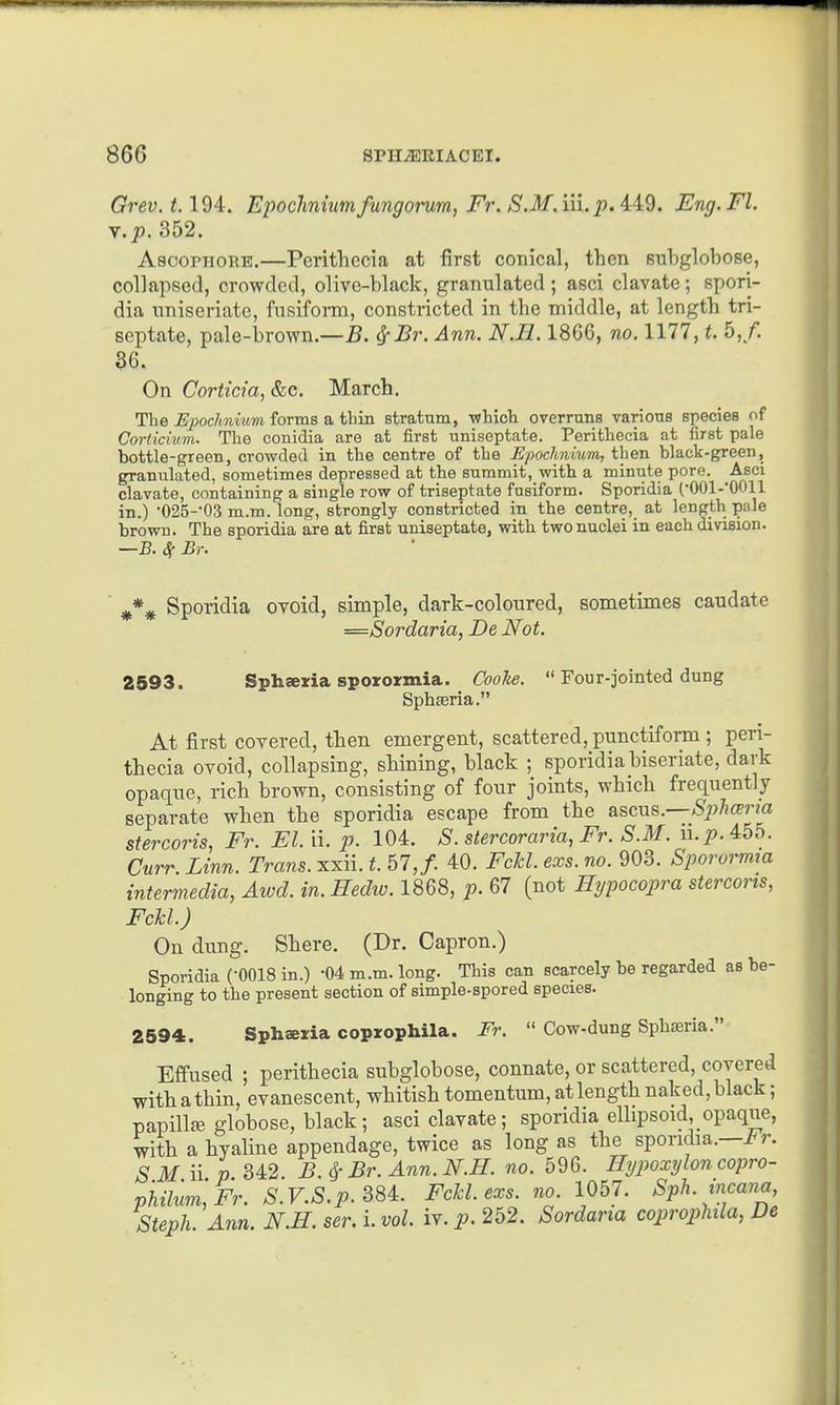 Grev. 1.194. Epoclmiumfungorum, Fr, S.M.iii. p. Eng.Fl. y.p. 352. AsconioRE.—Peritliccia at first conical, then subglobose, collapsed, crowded, olive-black, granulated ; asci clavate; spori- dia imiseriate, fusiform, constricted in the middle, at length tri- septate, pale-brown.—5. ^Br. Ann. N.IL 1866, no. 1177, t. 5,/. 86. On Corticia,&c. March. The Epochniuni forms a thin stratum, -which overruns various species of Corticium. The conidia are at first uniseptate. Perithecia at first pale bottle-green, crowded in the centre of the Epochnium, then black-green, granulated, sometimes depressed at the summit, with a minute pore. Asci clavate, containing a single row of triseptate fusiform. Sporidia (-OOl-'OOll in.) •025-'03 m.m. long, strongly constricted in the centre, at length pale brown. The sporidia are at first uniseptate, with two nuclei in each division. —B. 4- £r. Sporidia ovoid, simple, dark-coloured, sometimes caudate —Sordaria, De Not. 2593. Sphseria spoiormia. Coolte.  Four-jointed dung SphEeria. At first covered, then emergent, scattered, punctiform ; peri- thecia ovoid, collapsing, shining, black ; sporidia biseriate, dark opaque, rich brown, consisting of four joints, which frequently separate when the sporidia escape from the ascus.—^»/iffr?a stercoris, Fr. El. ii. p. 104. S. stercoraria, Fr. S.M. ii.p.455. Curr Linn. Trans, xxii. t. 57,/. 40. FcH. exs. no. 903. Sporurmia intermedia, Awd. in.Hedw. 1868, p. 67 (not Hypocopra stercoris, FcU.) On dung. Shere. (Dr. Capron.) Sporidia (-0018 in.) -04 m.m. long. This can scarcely be regarded as be- longing to the present section of simple-spored species. 2594. Sphseiia coprophila. Fr.  Cow-dung Sphseria. Effused ; perithecia subglobose, connate, or scattered, covered with a thin, evanescent, whitish tomentum, at length naked, black; papilljB globose, black; asci clavate; sporidia ellipsoid opaque, with a hyaline appendage, twice as long as the sporidia.— ;Silfiin 342 B. ^ Br. Ann. N.H. no. Hypoxylon copro- philum,Fr. S.V.S.p.SSA. Fckl. exs. no. 1057. Sph. tncana, Steph Ann. N.H. ser. i. vol. iv. p. 252. Sordaria coprophila, De