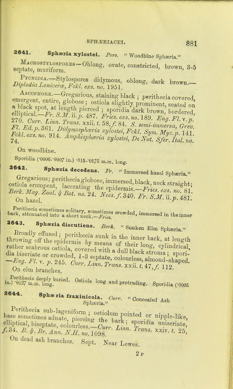 2641. Sphaeria xylostel. Pers.  Woodbine Sph^ria  .n,t'''°?''''!:~^f?™'' staining black; perithecia covered SlipM ^, ^T^^^^ -^J^^'^^''^ dark brown, bordered, ^tv. Ourr. Linn. Trans xxii / ^SS / c • • 1^ Prir ^' m P'f''?^'^^^^ xylostei, Fckl. Sym. Myc n 141 On woodbine. Sporidia (•0006--0007 in.) -OIS-'OIZS m.m, long. 2642. Sphaeria decedens. Fr.  Immersed ha.el Sph^ria  baL%\trS i-ersed in theinner ^l' ^-tiens. « Sunken E,m Sph.ria. rather scabrous ostiola coveTed ^fb „ Li m ^^^^^^^^^^^ dia biseriate or crowded 13 seX2 ^ 1 i ' 'P'''^- —Eng. Fl. y. „ 245 A..,, r ^ t' ^'^^^'^^^^^S' almond-shaped, y V. 7^. z^to. Cmh'. imw. Trans, xxii. ^. 47 /■ n 2 Un elm branches. inO-St!:il^i^g^^ O^tioIa long and protruding. Sporidia (-0005 bas?stSer:dXi^™4^ r^^PP^-^^ke, elliptical, biseptate co ourless r / ' '^^^^^ uniseriate On dead ash branches. Sept. Near Lewes. 2p