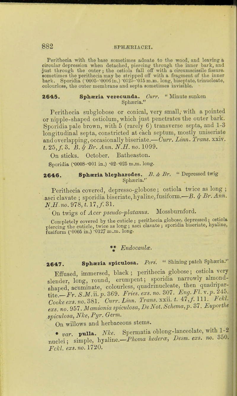 Perithecia with the base sometimoB adnate to the wood, and leaving a circuUir depression when detached, piercing through the inner bark, and just through the outer; the ostiola fall olF with a circumsciBsile fissure, sometimes the perithecia may be stripped ofl with a fragment of the inner bark. Sporidia (■0006-000Gin.) ■012r)-'016 m.m. long, biseptate, trinucleate, colourless, the outer membrane and septa sometimes invisible. 2645. Sphaeria verecunda. Curr.  Minute sunken SphsBria. Perithecia siibglobose or conical, very small,- witli a pointed or nipple-shaped ostiolum, which just pienetrates the outer bark. Sporidia pale brown, with 5 (rarely 6) transverse septa, and 1-3 longitudinal septa, constricted at each septum, mostly uniseriate and overlapping, occasionally biseriate.—Curr. Linn. Trans, xxiv. t. 25, f. 3. B. ^ Br. Ann. N.H. no. 1099. On sticks. October. Batheaston. Sporidia (-OOOS-'OOl in.) •02--025 m.m. long. 2646. Sphaeria blepharodes. B. & Br.  Depressed twig Sphaeria.'' Perithecia covered, depresso-globose ; ostiola twice as long ; asciclavate ; sporidia biseriate, hyaline, fusiform.—B. ^ Br. Ann. N.H.no. 978, <.17,/.31. ' On twigs of Acer pseudo-platanus. Mossburnford. Completely covered by the cuticle ; perithecia globose, depressed; ostiola piercing the cuticle, twice as long ; asci clavate ; spondia biseriate, hyaline, fusiform (-0005 in.) -0127 m.m. long. *^ Endocaulce. 2647. Sphaxia spiculosa. Pers.  Shining patch Spbffiria. Effused, immersed, black ; perithecia globose; ostiola very slender, long, round, erumpent; sporidia narrowly almond- shaped, acuminate, colourless, quadrinucleate, then quadripar- tite _i^r SM.ilp.BG^. Fries.exs.no. 307. Eng. Fl.Y.p. IAd. Cooke exs. no. Cvrr. Linn. Travis, xxii. t. ,f. lU Fckl exs. no. 957. Mamiania spiculosa, DeNot. Schema,p. 37. Euporthe spiculosa, Nhe, Fyr. Germ. On willows and herbaceous stems. • var pulla. Nke. Spermatia oblong-lanceolate, with 1-2 nuclei; 'simple, hyaline.—P/ioma Udercs, Desm. exs. no. 3o0. Fckl. exs. no. 1720.