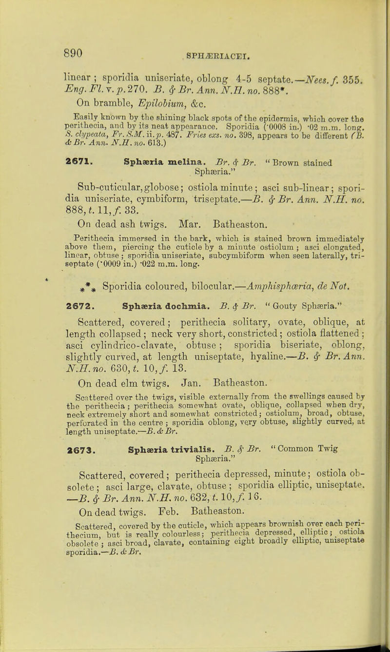 linear; sporidia uniseriate, oblong 4-5 septate.—iVees,/. 355. Eng. Fl.y. p.270. B. ^ Br. Ann. I^.H. no. 888*. On bramble, Epilohium, &c. Easily known by tlie shining black spots of the epidermis, which cover the perithecia, and by its neat appearance. Sporidia ('0008 in.) -02 m.m. long. .S. clypeata, Fr. S.M. i\.p. 487. Fries exs. no. 398, appears to be different CB. diBr. Ann. ^r.H.no.m.) 2671. Sphaeria xnelina. Br. dj: Br.  Brown stained Sphffiria. Sub-cuticular, globose; ostiola minute ; asci sub-linear; spori- dia uniseriate, cymbiform, triseptate.—B. ^ Br. Ann. N.H. no. 888, 11,/. 33. On dead asb twigs. Mar. Batlieaston. Perithecia immersed in the bark, which is stained brown immediately above them, piercing the cuticle by a minute ostiolum ; asci elongated, linear, obtuse ; sporidia uniseriate, eubcymbiform when seen laterally, tri- septate ('0009 in.) -022 m.m. long. Sporidia coloured, bilocular.—Amphisphoeria, de Not. 2672. Sphsezia dochmia. B. 3[ Br.  Gouty Sphaeria. Scattered, covered; perithecia solitary, ovate, oblique, at length collapsed ; neck very short, constricted; ostiola flattened : asci cylindrico-clavate, obtuse ; sporidia biseriate, oblong, slightly curved, at length uniseptate, hyaline.—B. ^ Br. Ann. N.H. no. 630, 10,/. 13. On dead elm twigs. Jan. Batheaston. Scattered over the twigs, visible externally from the swellings caused by the perithecia; perithecia somewhat ovate, oblique, collapsed when dry, neck extremely short and somewhat constricted; ostiolum, broad, obtuse, perforated in the centre; sporidia oblong, vqry obtuse, slightly curved, at length uniseptate.—B.&Br. 2673. Sphaeria trivialis. B. S,'Br.  Common Twig SpbEeria. Scattered, covered; perithecia depressed, minute; ostiola ob- solete ; asci large, clavate, obtuse ; sporidia elliptic, uniseptate. —B. ^ Br. Ann. N.H. no. 632,1.10,/ 16. On dead twigs. Feb. Batheaston. Scattered, covered by the cuticle, which appears brownish over each peri- theeium but is really colourless; perithecia depressed, elliptic; ostiola obsolete j asci broad, clavate, containing eight broadly elliptic, uniseptate sporidia.—B. & Br. t *