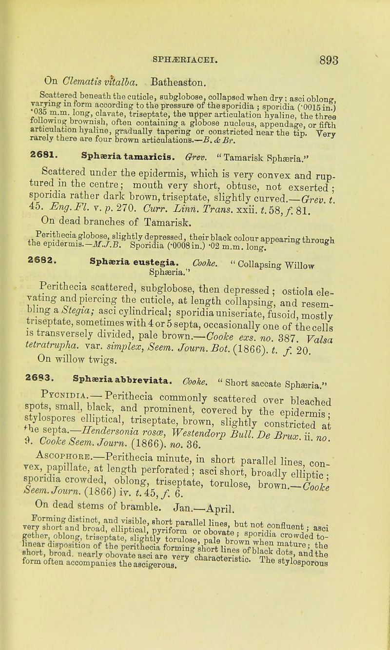 On Clematis vitalha. Batheaston. Scattered beneath the cuticle, subglobose, collapsed when dry; asci oblon? varying in form according to the pressure of the sporidia ; sporidia (-0015 in.) UiJ5 m.m long, clavate, triseptate, the upper articulation hyaline, the three touomng brownish, often containing a globose nucleus, appendage, or fifth articulation hyaline, gradually tapering or constricted near the tip. Verv rarely there are four brown articulations.—5. «fc Br. 2681. Sphaeriatamazicis. Grev.  Tamarisk SphEeria. Scattered under the epidermis, which is very convex and rup- tured in the centre; mouth very short, obtuse, not exserted ; sporidia rather dark brown, triseptate, slightly curved.—(^rei; / 45. Eng.Fl. Y.p.^lO. Curr. Linn. Trans, xxn. t.b%, 'f.%l. On dead branches of Tamarisk. Perith ecia globose slightly depressed, their black colour appearing through the epidermis.-7lf./.B. Sporidia (-OOOSin.) -02 m.m. long. 2682. Sphaeria eustegia. Cooke.  Collapsing Willow Spheeria.'' Perithecia scattered, subglobose, then depressed ; ostiola ele- vatmg and piercing the cuticle, at length collapsing, and resem- bling a ^^e^ea; asci cylindrical; sporidiauniseriate, fusoid, mostly triseptate, sometimes with 4 or 5 septa, occasionally one of the cells IS transversely divided, pale brown.—Coo/be exs. no. 387 Valsa tetratrupha. var. simplex, Seem. Journ.Bot. (1866). t. f. 20. On willow twigs. 2693. Sphaeiriaabbreviata. Cooke.  Short saccate Sphseria. ProNiDiA —Perithecia commonly scattered over bleached spots, small, black, and prominent, covered by the epidermi S'e sStl tPT^^ triseptate brown, slightly constricted a[ tie septa.-/W,rsoma ros(^, Westendorp Bull. De Brux ii no ^. Cooke Seem. Journ. (1866). no. 36. AscoPHORE.-Perithecia minute, in short parallel lines, con- vex, papillate a length perforated; asci short, broadly ell ptic sporidia crowded oblong, triseptate, torulos^, brown.-S /S'em./owm. (1866) iv. 45,/. 6. On dead stems of bramble. Jan.—April gether, oblong, triseptate^lightlfroruTosr S« croivded to- lincar disposition of ?he p'eritheda fSng^hSlinTsTf hull ft'' N short, broad, nearly obovate asci are very charaoS^^^^ ^''^^^^ form often accompanies the ascigerous. °'^'^'^a°teristic. The stylosporous