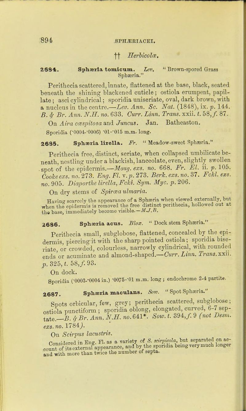 ff HerhicoloE, 2684. Sphaerla tomicum. Lev,  Brown-spored Grass Spbaeria. Perlthecia scattered, innate, flattened at the base, black, seated beneath the shining blackened cuticle; ostiola erumpent, papil- late ; asci cylindrical; sporidia uniseriate, oval, dark brown, with a nucleus in the centre.—Lev. Ann. Sc. Nat. (1848), ix. p. 144. B. ^ Br. Ann. N.H. no. 633. Curr. Linn. Trans, xxii. t. 58,/. 87. On Aira ccespitosa&'udi Juncus. Jan. Batheaston. Sporidia (•0004--0006) •01--015 m.m. long. 26S5. Sphaeria lixella. Fr.  Meadow-sweet Sphaerla. Perithecia free, distinct, seriate, when collapsed umbilicate be- neath, nestling under a blackish, lanceolate, even, slightly swollen • spot of the epidermis.—Moug. exs. no. 668. Fr. El. ii. p. 105. Cooheexs. no. 273. Eng. Fl. r.p. 273. Berk. exs. no. 37. Fckl. exs. no. 905. Diaporthe lirella, Fckl. Sijm. Myc. p. 206. On dry stems of Spiraea ulmaria. Having scarcely the appearance of a Sphaeria when viewed externally, but when the epidermis is removed the free distinct perithecia, hoUowed out at tha base, immediately become visible.—-il^./.B. 2686. Spheeria acus. Blox.  Dock stem Sph^ria. Perithecia small, subglobose, flattened, concealed by the epi- dermis, piercing-it with the sharp pointed ostiola; sporidia bise- riate, or crowded, colourless, narrowly cylindrical, with rounded ends'or acuminate and almond-shaped.—Curr. Zmn. Tmns-xxu. p. 325, t. 58,/. 93. On dock. Sporidia (•0003--0004 in.) 'OO/S-'Ol m.m. long ; endochrome 2-4 partite. 2687. Spharia maculans. Sow.  Spot Sphaeria. Spots orbicular, few, grey; perithecia scattered, subglobose; ostiola punctiform ; sporidia oblong, elongated, curved, 6-7 sep- tate ^Br. Ann. N.H. no. 641*. Sow. t. 394,/ 9 (not Desm. exs. no. 1784J. On Scirpus lacustris. Ponsidered in Eng. Fl. as a variety of S. seirpicola, but separated on ac- count oHtseXnaf appearance, and by the spondia being verymuch longer and with more than twice the number of septa.