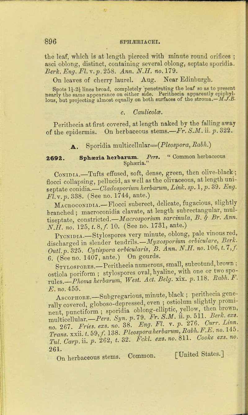 the leaf, wliich is at length pierced with minute round orifices ; asci oblong, distinct, containing several oblong, septate sporidia. Berk. Eng. Fl. Y.p.268. Ann. N.II. no. 179. On leaves of cherry laurel. Aug. Near Edinburgh. Spots 1^-2^ lines broad, completely 'penetrating the leaf so as to present nearly the same appearance on either side. Perithecia apparently epiphyl- lous, but projecting almost equally on both surfaces of the stroma.— c. CaulicolcB, Perithecia at first covered, at length naked by the falling away of the epidermis. On herbaceous stems.—Fr. S.M. ii. p. 322. A. Sporidia multicellular=(PZeospora, Rabh.) 2692. Sphaeria hejrbairum. Pen.  Common herbaceous Sphseria. CoNiDiA.—Tufts effused, soft, dense, green, then olive-black; flocci collapsing, pellucid, as well as the olivaceous, at length uni- septate conidia.—Cladosporium lierharum, Link. sp. l,p. 39. Eng. Fl.Y.p. 338. (See no. 1744, ante.) Macboconidia.—Flocci suberect, delicate, fugacious, slightly branched ; macroconidia clavate, at length subrectangular, mul- tiseptate, constricted.—ilfacros/jormm sarcinula, B. ^ Br. Ann. N.H. no. 125, t. 8,f. 10. (See no. 1731, ante.) Pycnidia.—Stylospores very minute, oblong, pale vinous red, discharged in slender tendrils.—Myxosporium orhiculare, Berk. Outl.p. 325. Cytispora orbicularis, B. Ann. N.H. no. 106, t. 1,J. 6. (See no. 1407, ante.) On gourds. Stylospores.—Perithecia numerous, small, subrotund, brown : ostiola poriform ; stylospores oval, hyaline, with one or two spo- rn\&s.—Pliomaherlarum, West. Act. Belg. xix. p. 118. Rahh. . E. no. 455. AscoPHORE.—Subgregarious, minute, black ; perithecia gene- rally covered, globoso-depressed, even ; ostiolum slightly promi- nent, punctifo?m ; sporidia oblong-elliptic, yellow then brown, Z\kl\\u\^..-Pers.Syn.p.l^. FrS.M. n. p.^ll.Berk^exs. no. 267. Fries, exs. no. SS. /jno r^/r«Q xxil t 59 f 138. Pleosporaherlarum, Rabh. J.Jii.no. 1^0. TTc^lt pi'^^^^^^ Fckl.exs.no. 811. Cookeexs.no. 261. -, On herbaceous stems. Common. [United States.]