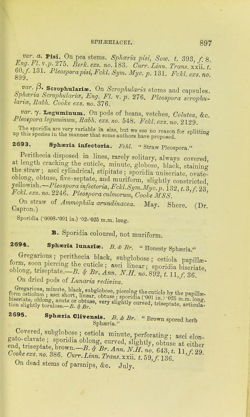 var. a. piai. On pea stems. Sphcerta pisi, Sow. t. 393 f. 8 Eng FLY.p2n. Berk. exs. no. 183. Curr. Linn. Trans, xxii. i. 899 ^^^°^P°^'(^pisi,Fckl. Sym. Myc. p. 131. FcU.exs.no. rar./3. scrophulariae. On Scrophularia stems and capsules. ^;>Acj?na ScrophularicB, Eng. Fl. v. i>. 276. Pleospora scrophu- lan(s, Rabh. Cooke exs. no. 376. mr. 7. leguminum. On pods of beans, vetches, Colutea, &c. rieospora legummum, Rabh. exs. no. 548. i^c/t^. exs. no. 2129. Jf^- ^PO^^^a.^'-e/ery variable in size, but we see no reason for splittinir up this species in the manner that some authors have proposed. 2693. Sphaeria infectoria. FcM.  Straw Pleospora. Perithecia disposed in lines, rarely solitary, always covered, at length crackmg the cuticle, minute, globose, black, staining the straw ; asci cylmdrical, stipitate ; sporidia uniseriate, ovate- oblong, obtuse five-septate, and muriform, slightly constricted J^i-^oyvish.—Fleospora infectoria, Fckl.Sym.Myc.p 132 t8 f.23 Fckl.exs.no. 224:6. Pleospora culmorum, Cooke MSS. '  ' On straw of Ammophila arundinacea. May. Shere ^Dr Uapron.) ' ^ Sporidia (•0008--001 in.) •02--025 m.m. long. B. Sporidia coloured, not muriform. 2694. Sphaeria lunariae. B.di=Br.  Honesty Sphieria. Gregarious ; perithecia black, subglobose; ostiola papillae- fo m, soon piercmg the cuticle ; asci linear; sporidia bLi-ate oblong, triseptate.—5. ^ Br, Ann. N.H. no. 892, 1.11,/. 36 On dried pods of Lunaria rediviva. a6«. Sp...U0,Wen,l.^^J^^,. B.o™ ,p„„, ,,,, CoTered subglobose i ostiola minute, porforating • asci elon gato-clayate ; sporidia oblong, cnrred slLhtlT obt„L„ -.1 end tri.ept.te br„wn.-5. A.. Ann PS Jo. 643 T l1 'fo'J Cooheex,.n,.m. Curr.Linn. Trans.xxii. (.59,/136. '-^ On dead stems of parsnips, &c. July.