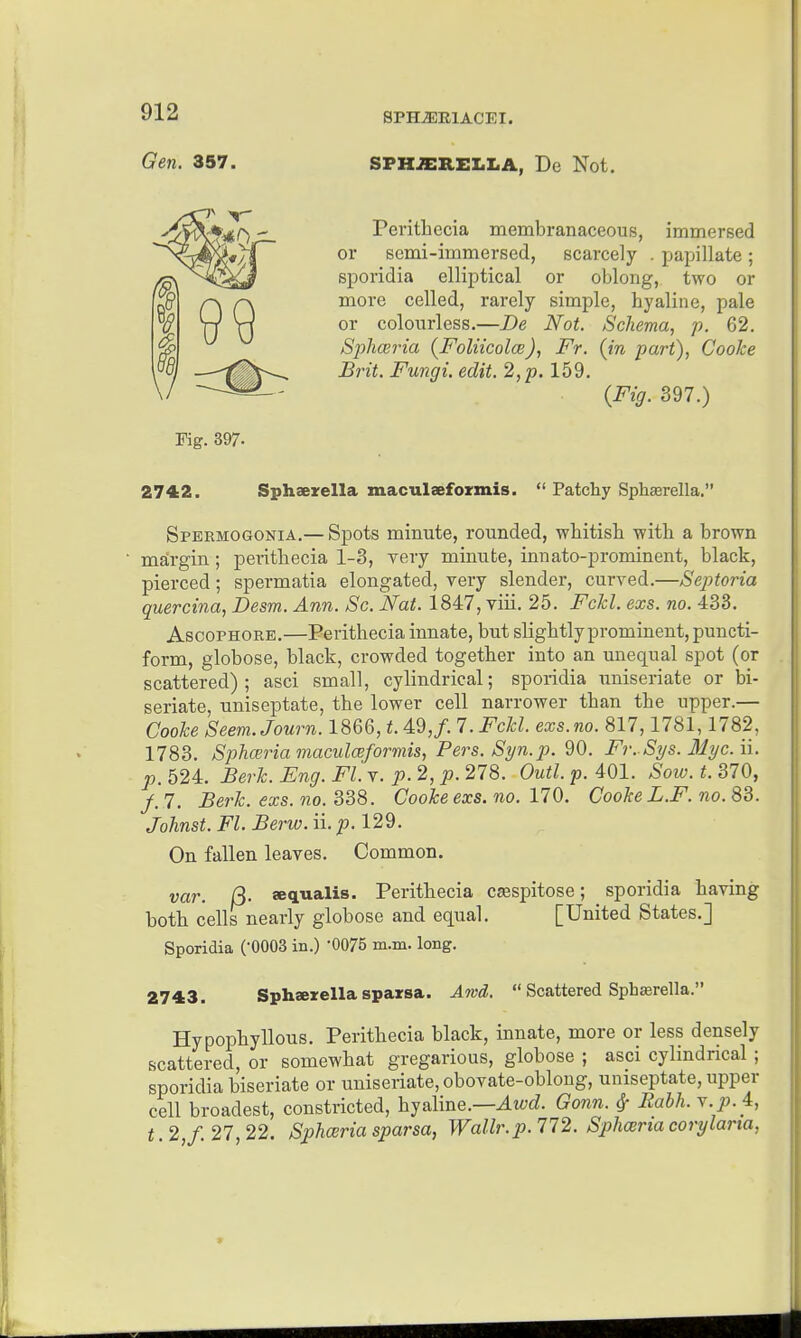 SPHAREi:,I.A, De Not. Perithecia membranaceous, immersed or semi-immersed, scarcely . papillate; sporidia elliptical or oblong, two or more celled, rarely simple, hyaline, pale or colourless.—De Not. Schema, p. 62. Spliairia (FoIucoIcb), Fr. (in part), Cooke Brit. Fungi, edit. 2, p. 159, (Fig. 397.) 2742. Sphaerella maculsefoirmis.  Patchy Spliserella. Spermogonia.— Spots minute, rounded, whitisb -witli a brown margin; peritbecia 1-3, very minute, innato-prominent, black, pierced; spermatia elongated, very slender, curved.—Sejnoria quercina, Desm. Ann. Sc. Nat. 1847, viii. 25. Fckl. exs. no. 433. AscoPHORE.—Peritbecia innate, but slightly prominent, puncti- form, globose, black, crowded together into an unequal spot (or scattered); asci small, cylindrical; sporidia uniseriate or bi- seriate, uniseptate, the lower cell narrower than the upper.— Cooke Seem. Journ. 1866, t. 49,/. 7. Fckl. exs.no. 817,1781,1782, 1783. SphoiriamaculcBformis, Pers. Syn.p. 90. Fr. Sys. 31yc.\\. p. 524. Berk. Eng. Fl. v. p. 2, p. 278. Outl. p. 401. Sow. t. 370, /, 7. Berk. exs. no. 338. Cooke exs. no. 170. Cooke L.F. no. 83. Johnst. Fl. Berw. ii. p. 129. On fallen leaves. Common. var. Q. aqualis. Perithecia caespitose; sporidia having both cells nearly globose and equal. [United States.] Sporidia ('0003 in.) 0075 m.m. long. 2743. Sphaerella sparsa. Amd.  Scattered Spharella. Hypophyllous. Perithecia black, innate, more or less densely scattered, or somewhat gregarious, globose ; asci cylindrical ; sporidia biseriate or uniseriate, obovate-obloug, uniseptate, upper cell broadest, constricted, hyaline.—JLii-'rf. Gonn. 6r Rahh. Y.p. 4, t 2 f.27 22. Sphceria sparsa, Wallr.p. 772. Sph(Briacorylaria, Gen. 357. Pig. 397-