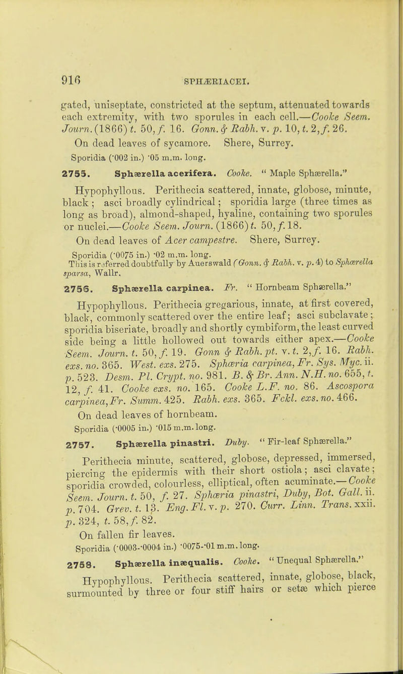 gated, uniseptate, constricted at the septum, attenuated towards each extromity, with two sporules in each cell.—Cooke Seem. JbMm.(1866)i. 50,/. 16. Gonn.^ Rabh.Y. p.lO,t2,f.2Q. On dead leaves of sycamore. Shere, Surrey. Sporidia ('002 in.) '05 m.m. long. 2755. Sphaeirellaacerifera. Coohe. Maple Sphaerella. Hypophyllous. Perithecia scattered, innate, globose, minute, black ; asci broadly cylindrical; sporidia large (three times as long as broad), almond-shaped, hyaline, containmg two sporules or nuclei.—Cooke Seem. Journ. (1866) 50,/. 18. On dead leaves of Acer campestre. Shere, Surrey. Sporidia (-0075 in.) -02 m.m. long. This is r jferred doubtf uUy by Auerswald (Oonn. ^ Rahh. v. p. 4) to Spharella sparsa, Wallr. 2756. Sphaerella cazpinea. Fr. Hornbeam Sph«rella. Hypophyllous. Perithecia gregarious, innate, at first covered, black, commonly scattered over the entire leaf; asci subclavate; sporidia biseriate, broadly and shortly cymbiform,the least curved side being a little hollowed out towards either apex.—Cooke Seem. Journ. t. 50,/ 19. Gonn ^ Rabh.pt. Y.t. 2,/. 16. Rabh. exs. no. 365. West. exs. 275. Sphceria carpinea, Fr. Sys. Myc. ii. p. 523. Desm. PI. Crypt, no. 981. B. 8^ Br. Ann. N.H. no. 655, t. 12, f. 41. Cooke exs. no. 165. Cooke L.F. no. 86. Ascospora carp{nea,Fr. Summ. 4.25. Rabh. exs. 366. Fckl. exs.no.U6. On dead leaves of hornbeam. Sporidia (-0005 in.) '015 m.m. long. 2757. Sphserella pinastri. Duby. Fir-leaf Sphaerella. Perithecia minute, scattered, globose, depressed, immersed, piercing the epidermis with their short ostiola; asci clavate; sporidia crowded, colourless, elliptical, often acuminate.—Coo^e Seem. Journ. t. 50, / 27. Siihceria pinastri, Duby, Bot. Gall. u. p.704:. Grev.t. 13. Eng.Fl.Y.p. 270. Curr. Linn. Trans.xxu. p. 324, t. 58,/ 82. On fallen fir leaves. Sporidia (•0003--0004 in.) -OOrB-'Ol m.m.long. 2758. Spharella insequalis. Cooke. Unequal Sphasrella. Hvpophyllous. Perithecia scattered, innate, globose, black, surmounted by three or four stiff hairs or set^ which pierce