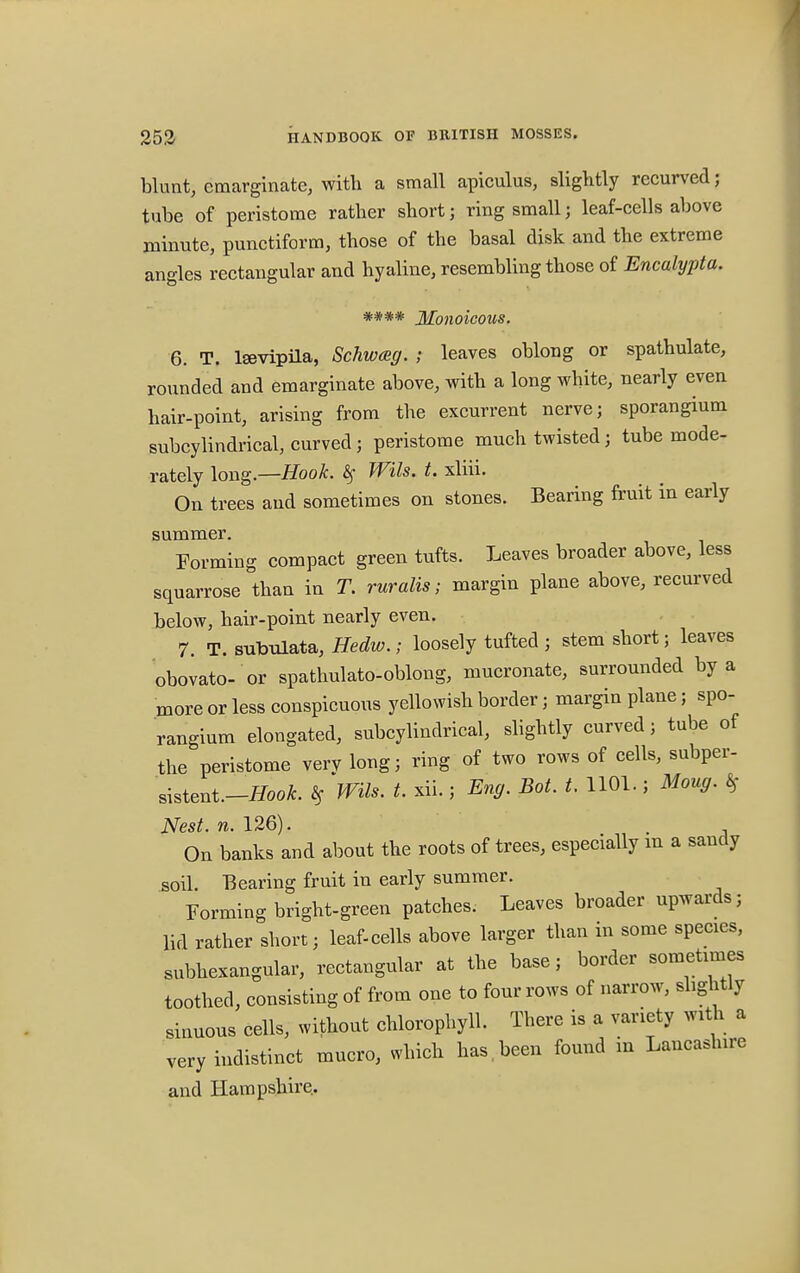 blunt, emarginate, with a small apiculus, slightly recurved; tube of peristome rather short; ring small; leaf-cells above minute, punctiform, those of the basal disk and the extreme angles rectangular and hyaline, resembling those of Encalypta. #*## Monoieous. 6. T. laevipila, Schwag. ; leaves oblong or spathulate, rounded and emarginate above, with a long white, nearly even hair-point, arising from the excurrent nerve; sporangium subcylindrical, curved; peristome much twisted; tube mode- rately long.—Hook. Wils. t. xliii. On trees and sometimes on stones. Bearing fruit in early summer. Forming compact green tufts. Leaves broader above, less squarrose than in T. ruralis; margin plane above, recurved below, hair-point nearly even. 7. T.subulata, Hedw.; loosely tufted; stem short; leaves obovato- or spathulato-oblong, mucronate, surrounded by a more or less conspicuous yellowish border; margin plane; spo- rangium elongated, subcylindrical, slightly curved; tube of the peristome very long; ring of two rows of cells, subper- rirtent.-JT00*. is WHs. t. xii.; Eng. Bot. t. 1101.; Moug. * Nest. n. 126). On banks and about the roots of trees, especially m a sandy soil. Bearing fruit in early summer. Forming bright-green patches. Leaves broader upwards; lid rather short; leaf-cells above larger than in some species, subhexangular, rectangular at the base; border sometimes toothed, consisting of from one to four rows of narrow, slightly sinuous cells, without chlorophyll. There is a variety with a very indistinct mucro, which has , been found in Lancashire and Hampshire.