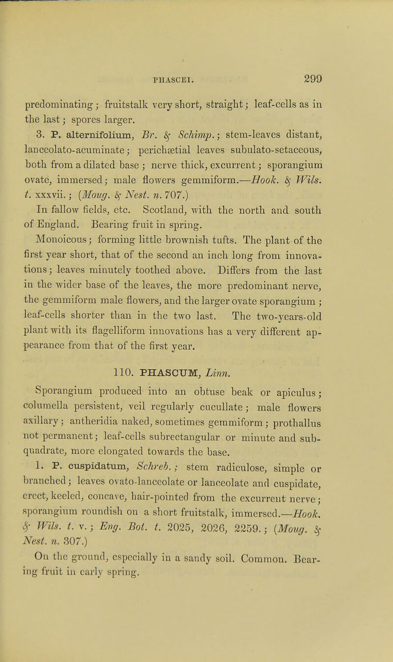 predominating; fruitstalk very short, straight; leaf-cells as in the last; spores larger. 3. P. alternifolium, Br. &; Schimp.; stem-leaves distant, lanceolato-acuminate; perichtetial leaves subulato-setaceous, hoth from a dilated base ; nerve thick, excurrent; sporangium ovate, immersed; male flowers gemmiform.—Hook, Wils. t. xxxvii.; {Moug. <Sf Nest. n. 707.) In fallow fields, etc. Scotland, with the north and south of England. Bearing fruit in spring. Monoicous; forming little brownish tufts. The plant of the first year short, that of the second an inch long from innova- tions ; leaves minutely toothed above. Differs from the last in the wider base of the leaves, the more predominant nerve, the gemmiform male flowers, and the larger ovate sporangium ; leaf-cells shorter than in the two last. The two-years-old plant with its flagelliform innovations has a very different ap- pearance from that of the first year. 110. PHASCUM, Linn. Sporangium produced into an obtuse beak or apiculus; columella persistent, veil regularly cucullate; male flowers axillary j antheridia naked, sometimes gemmiform ; prothallus not permanent; leaf-cells subrectangular or minute and sub- quadrate, more elongated towards the base. 1. P. cuspidatum, Schreb.; stem radiculose, simple or branched; leaves ovato-lanceolate or lanceolate and cuspidate, erect, keeled, concave, hair-pointed from the excurrent nerve; sporangium roundish on a short fruitstalk, immersed.— Hook. 8f Wils. t. v.; Eng. Bol. t. 2025, 2026, 2259. j {Moug. % Nest. n. 307.) On the ground, especially in a sandy soil. Common. Bear- ing fruit in early spring.