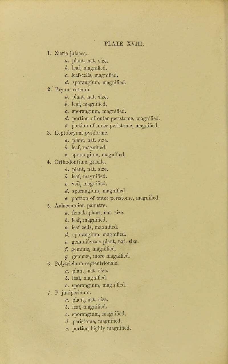 1. Zicria julacca. a. plant, nat. size. b. leaf, magnified. c. leaf-cells, magnified. d. sporangium, magnified. 2. Bryum roseum. a. plant, nat. size. b. leaf, magnified. c. sporangium, magnified. d. portion of outer peristome, magnified. e. portion of inner peristome, magnified. 3. Leptobryum pyriforme. a. plant, nat. size. b. leaf, magnified. c. sporangium, magnified. 4. Ortkodontium gracile. a. plant, nat. size. b. leaf, magnified. c. veil, magnified. d. sporangium, magnified. e. portion of outer peristome, magnified. 5. Aulacomnion palustre. a. female plant, nat. size. b. leaf, magnified. c. leaf-cells, magnified. d. sporangium, magnified. e. gemmiferous plant, nat. size. /. gemmae, magnified. ff. gemmae, more magnified. 6. Polytrichum septentrionale. a. plant, nat. size. b. leaf, magnified. c. sporangium, magnified. 7. P. juniperinum. a. plant, nat. size. b. leaf, magnified. c. sporangium, magnified. d. peristome, magnified. e. portion highly magnified.