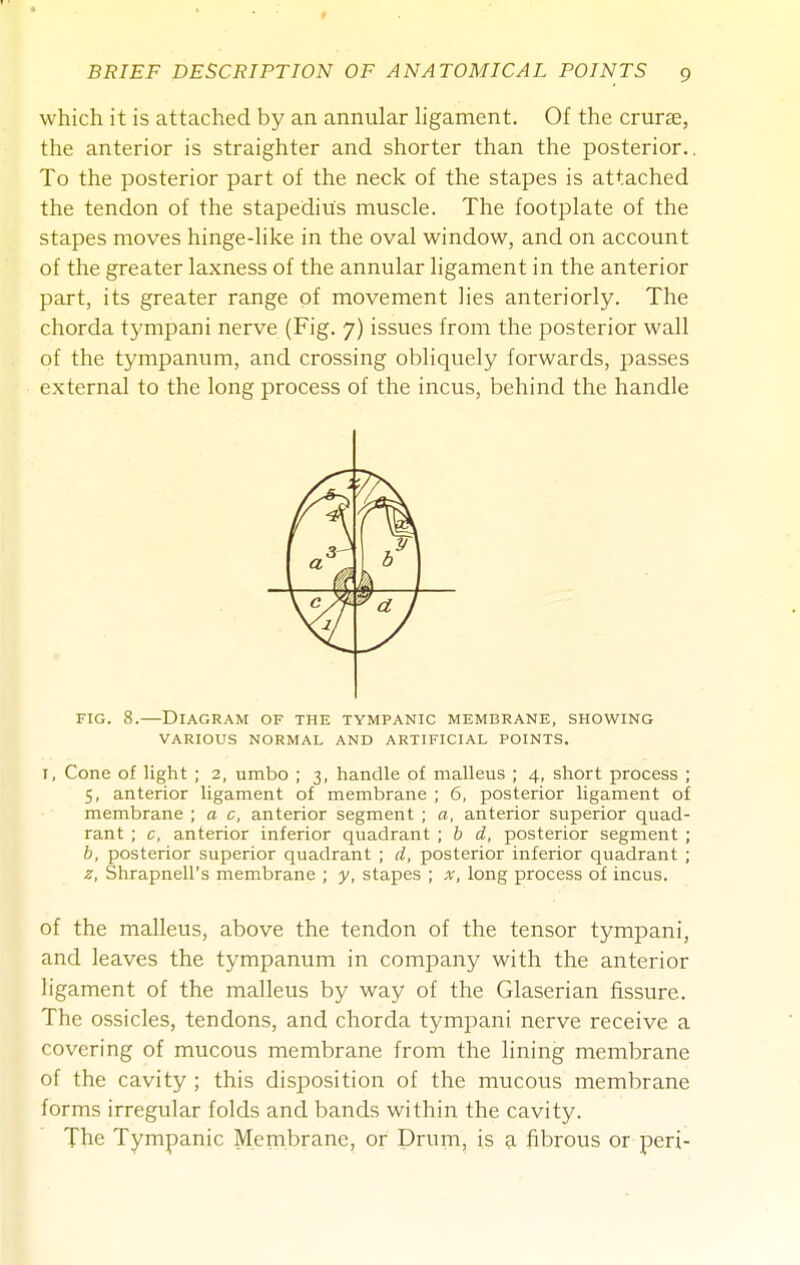 which it is attached by an annular hgament. Of the cruras, the anterior is straighter and shorter than the posterior.. To the posterior part of the neck of the stapes is attached the tendon of the stapedius muscle. The footplate of the stapes moves hinge-like in the oval window, and on account of the greater laxness of the annular ligament in the anterior part, its greater range of movement lies anteriorly. The chorda tympani nerve (Fig. 7) issues from the posterior wall of the tympanum, and crossing obliquely forwards, passes external to the long process of the incus, behind the handle n 1 m 1 7 d I vv FIG. 8.—Diagram of the tympanic membrane, showing VARIOUS NORMAL AND ARTIFICIAL POINTS. I, Cone of light ; 2, umbo ; 3, handle of malleus ; 4, short process ; 5, anterior ligament of membrane ; 6, posterior ligament of membrane ; a c, anterior segment ; a, anterior superior quad- rant ; c, anterior inferior quadrant ; h d, posterior segment ; b, posterior superior quadrant ; d, posterior inferior quadrant ; z, Shrapnell's membrane ; y, stapes ; x, long process of incus. of the malleus, above the tendon of the tensor tympani, and leaves the tympanum in company with the anterior ligament of the malleus by way of the Glaserian fissure. The ossicles, tendons, and chorda tympani nerve receive a covering of mucous membrane from the lining membrane of the cavity ; this disposition of the mucous membrane forms irregular folds and bands within the cavity. The Tympanic Membrane, or Drum, is 9. fibrous or peri-