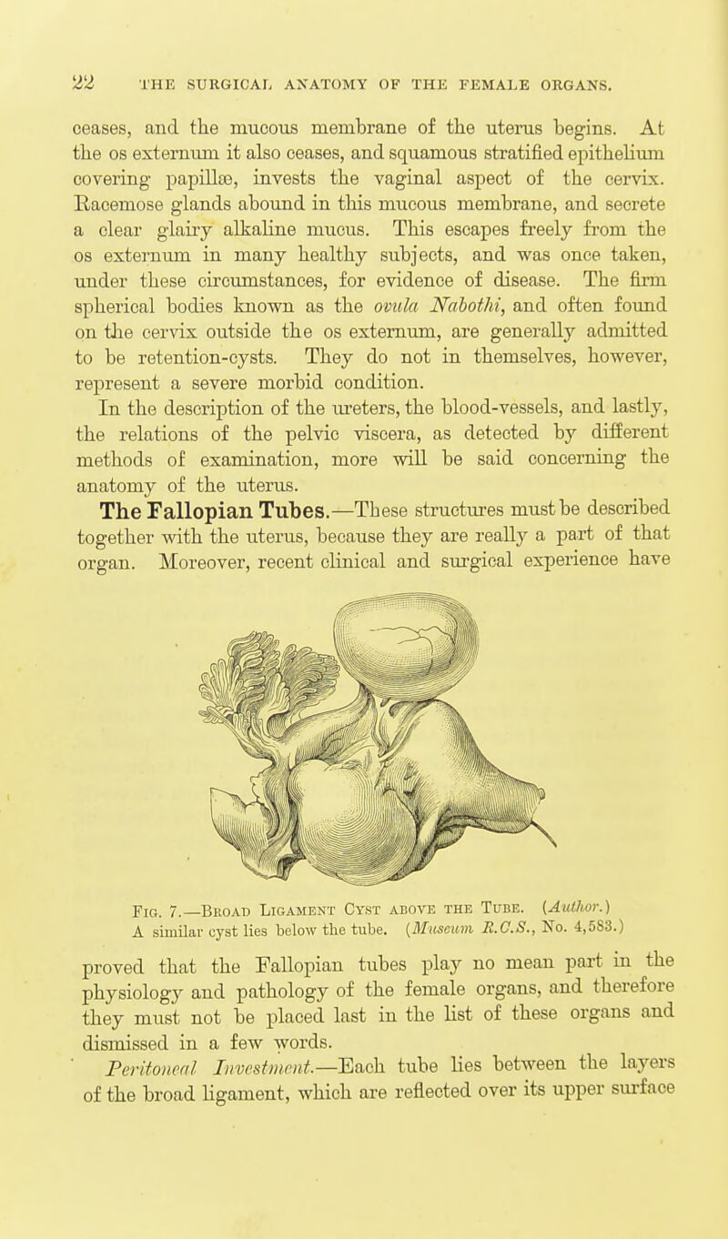 ceases, and the mucous membrane of the uterus begins. At the OS externum it also ceases, and squamous stratified epithelium covering papillaa, invests the vaginal aspect of the cervix. Racemose glands abound in this mucous membrane, and secrete a clear glairy alkaline mucus. This escapes freely from the OS externum in many healthy subjects, and was once taken, under these circumstances, for evidence of disease. The firm spherical bodies known as the ovtila Nahothi, and often found on the cervix outside the os externum, are generally admitted to be retention-cysts. They do not in themselves, however, represent a severe morbid condition. In the description of the lu-eters, the blood-vessels, and lastly, the relations of the pelvic viscera, as detected by different methods of examination, more wiU be said concerning the anatomy of the uterus. The Fallopian Tubes.—Tbese structures must be described together with the uterus, because they are really a part of that organ. Moreover, recent clinical and sm-gical experience have Fig. 7.—Broad Ligament Cyst above the Tube. {Author.) A similar eyst lies below the tube. {Museum R.C.S., No. 4,583.) proved that the Fallopian tubes play no mean part in the physiology and pathology of the female organs, and therefore they must not be placed last in the list of these organs and dismissed in a few words. Peritonml Investment.—Each tube lies between the layers of the broad Hgament, which are reflected over its upper surface