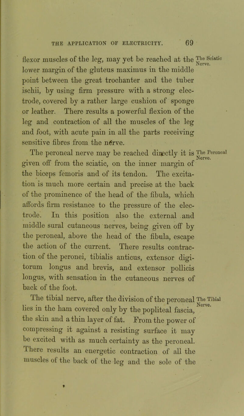 flexor muscles of the leg, may yet be reached at the TheSektie lower margin of the gluteus maximus in the middle point between the great trochanter and the tuber ischii, by using firm pressure with a strong elec- trode, covered by a rather large cushion of sponge or leather. There results a powerful flexion of the leg and contraction of all the muscles of the leg and foot, with acute pain in all the parts receiving seusitive fibres from the nerve. The peroneal nerve may be reached directly it is Peroneal given off from the sciatic, on the inner margin of the biceps femoris and of its tendon. The excita- tion is much more certain and precise at the back of the prominence of the head of the fibula, which affords firm resistance to the pressure of the elec- trode. In this position also the external and middle sural cutaneous nerves, being given off by the peroneal, above the head of the fibula, escape the action of the current. There results contrac- tion of the peronei, tibialis anticus, extensor digi- torum longus and brevis, and extensor pollicis longus, with sensation in the cutaneous nerves of back of the foot. The tibial nerve, after the division of the peronealThe Tibial lies in the ham covered only by the popliteal fascia, the skin and a thin layer of fat. From the power of compressing it against a resisting surface it may be excited with as much certainty as the peroneal. Lhere results an energetic contraction of all the muscles of the back ol the leg and the sole of the