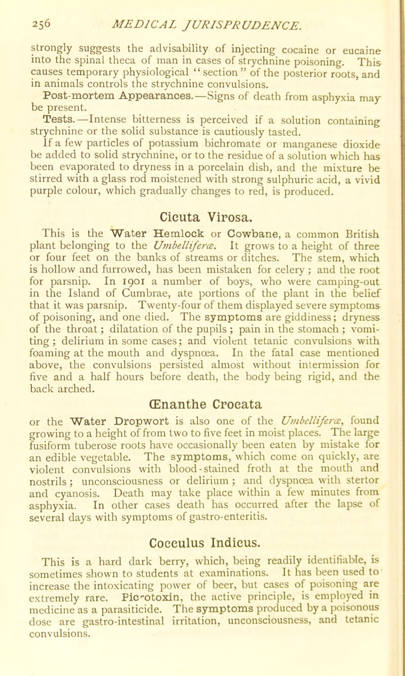 strongly suggests the advisability of injecting cocaine or eucaine into the spinal theca of man in cases of strychnine poisoning. This causes temporary physiological “ section ” of the posterior roots, and in animals controls the strychnine convulsions. Post-mortem Appearances.—Signs of death from asphyxia may be present. Tests.—Intense bitterness is perceived if a solution containing strychnine or the solid substance is cautiously tasted. if a few particles of potassium bichromate or manganese dioxide be added to solid strychnine, or to the residue of a solution which has been evaporated to dryness in a porcelain dish, and the mixture be stirred with a glass rod moistened with strong sulphuric acid, a vivid purple colour, which gradually changes to red, is produced. Cieuta Viposa. This is the Water Hemlock or Cowbane, a common British plant belonging to the Umbelliferm. It grows to a height of three or four feet on the banks of streams or ditches. The stem, which is hollow and furrowed, has been mistaken for celery ; and the root for parsnip. In 1901 a number of boys, who were camping-out in the Island of Cumbrae, ate portions of the plant in the belief that it was parsnip. Twenty-four of them displayed severe symptoms of poisoning, and one died. The symptoms are giddiness; dryness of the throat; dilatation of the pupils ; pain in the stomach ; vomi- ting ; delirium in some cases; and violent tetanic convulsions with foaming at the mouth and dyspnoea. In the fatal case mentioned above, the convulsions persisted almost without intermission for five and a half hours before death, the body being rigid, and the back arched. (Enanthe Croeata or the Water Dropwort is also one of the Umbdlifera:, found growing to a height of from two to five feet in moist places. The large fusiform tuberose roots have occasionally been eaten by mistake for an edible vegetable. The symptoms, which come on quickly, are violent convulsions with blood-stained froth at the mouth and nostrils ; unconsciousness or delirium ; and dyspnoea with stertor and cyanosis. Death may take place within a few minutes from asphyxia. In other cases death has occurred after the lapse of several days with symptoms of gastro-enteritls. Coeculus Indieus. This is a hard dark berry, which, being readily identifiable, is sometimes shown to students at examinations. It has been used to increase the intoxicating power of beer, but cases of poisoning are extremely rare. Pic-otoxin, the active principle, is employed in medicine as a parasiticide. The symptoms produced by a poisonous dose are gastro-intestinal irritation, unconsciousness, and tetanic convulsions.