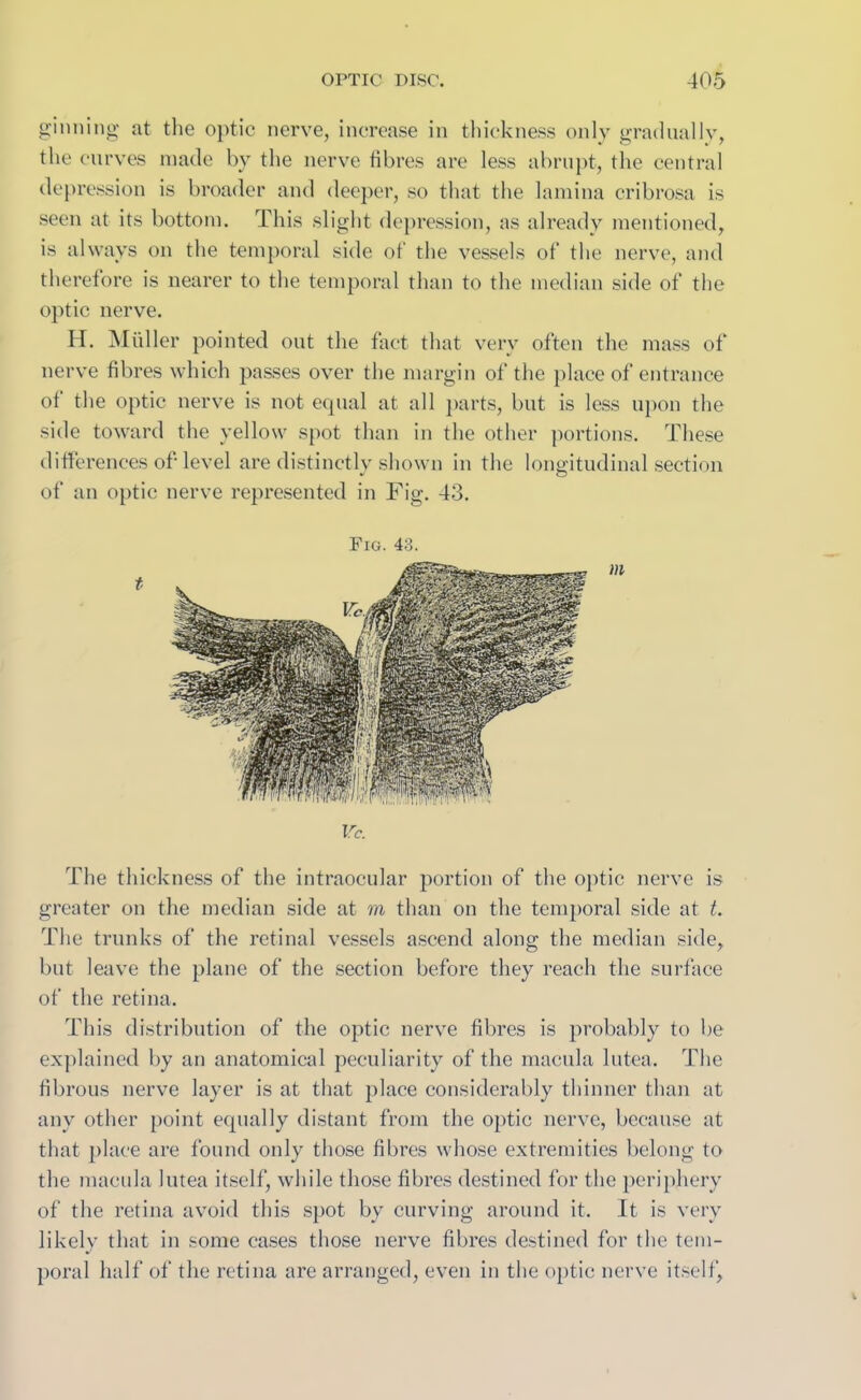 ginning at the optic nerve, increase in thickness only gradually, the curves made by the nerve fibres are less abrupt, the central depression is broader and deeper, so that the lamina cribrosa is seen at its bottom. This slight depression, as already mentioned, is always on the temporal side of the vessels of the nerve, and therefore is nearer to the temporal than to the median side of the optic nerve. H. Midler pointed out the fact that very often the mass of nerve fibres which passes over the margin of the place of entrance of the optic nerve is not equal at all parts, but is less upon the side toward the yellow spot than in the other portions. These differences of level are distinctly shown in the longitudinal section of an optic nerve represented in Fig. 43. t m Vc. The thickness of the intraocular portion of the optic nerve is greater on the median side at m than on the temporal side at t. The trunks of the retinal vessels ascend along the median side, but leave the plane of the section before they reach the surface of the retina. This distribution of the optic nerve fibres is probably to be explained by an anatomical peculiarity of the macula lutea. The fibrous nerve layer is at that place considerably thinner than at any other point equally distant from the optic nerve, because at that place are found only those fibres whose extremities belong to the macula lutea itself, while those fibres destined for the periphery of the retina avoid this spot by curving around it. It is very likely that in some cases those nerve fibres destined for the tem- poral half of the retina are arranged, even in the optic nerve itself, Fig. 43.