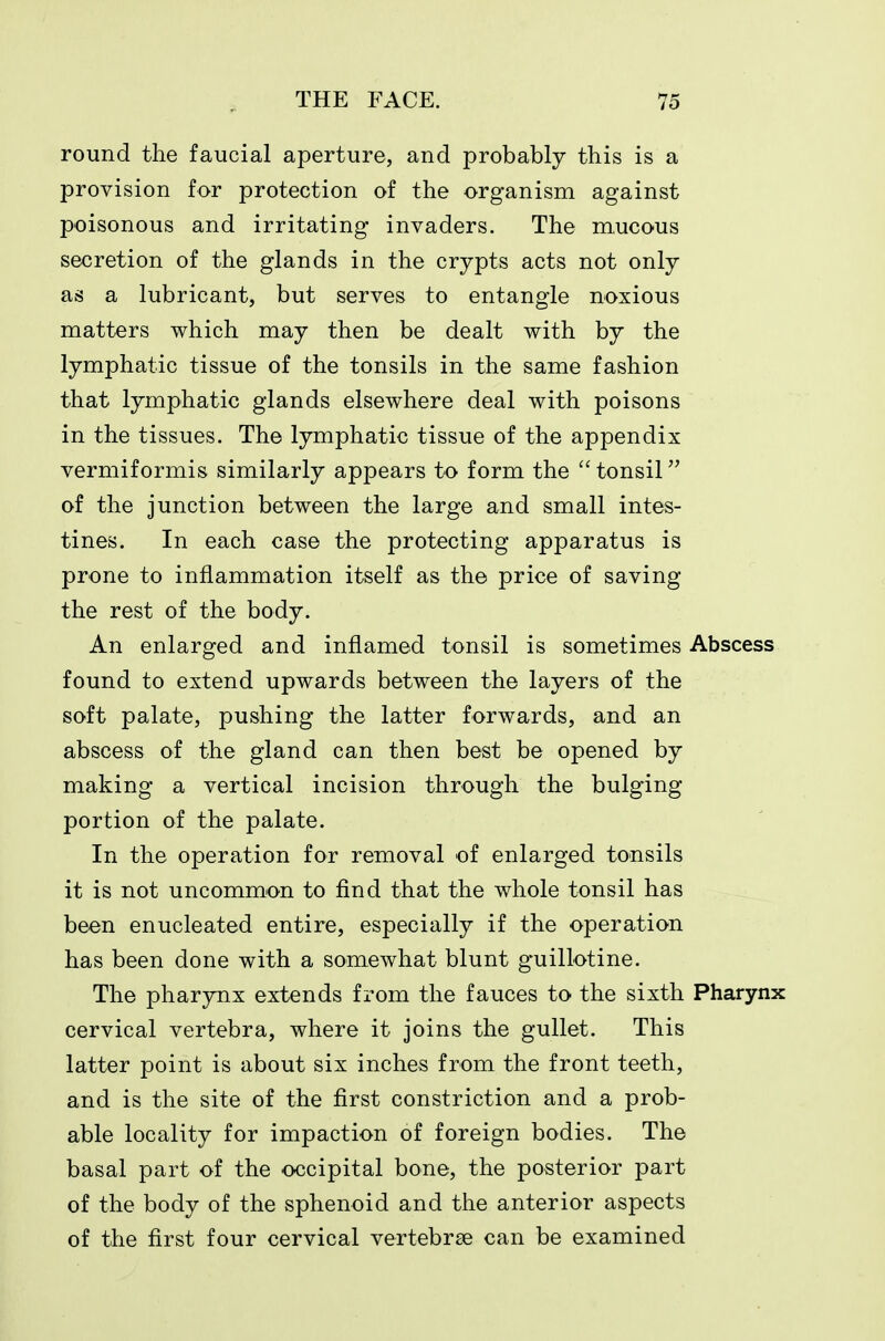 round the faucial aperture, and probably this is a provision for protection of the organism against poisonous and irritating invaders. The mucous secretion of the glands in the crypts acts not only as a lubricant, but serves to entangle noxious matters which may then be dealt with by the lymphatic tissue of the tonsils in the same fashion that lymphatic glands elsewhere deal with poisons in the tissues. The lymphatic tissue of the appendix vermiformis similarly appears to form the tonsil of the junction between the large and small intes- tines. In each case the protecting apparatus is prone to inflammation itself as the price of saving the rest of the body. An enlarged and inflamed tonsil is sometimes Abscess found to extend upwards between the layers of the soft palate, pushing the latter forwards, and an abscess of the gland can then best be opened by making a vertical incision through the bulging portion of the palate. In the operation for removal of enlarged tonsils it is not uncommon to find that the whole tonsil has been enucleated entire, especially if the operation has been done with a somewhat blunt guillotine. The pharynx extends from the fauces to the sixth Pharynx cervical vertebra, where it joins the gullet. This latter point is about six inches from the front teeth, and is the site of the first constriction and a prob- able locality for impaction of foreign bodies. The basal part of the occipital bone, the posterior part of the body of the sphenoid and the anterior aspects of the first four cervical vertebrse can be examined