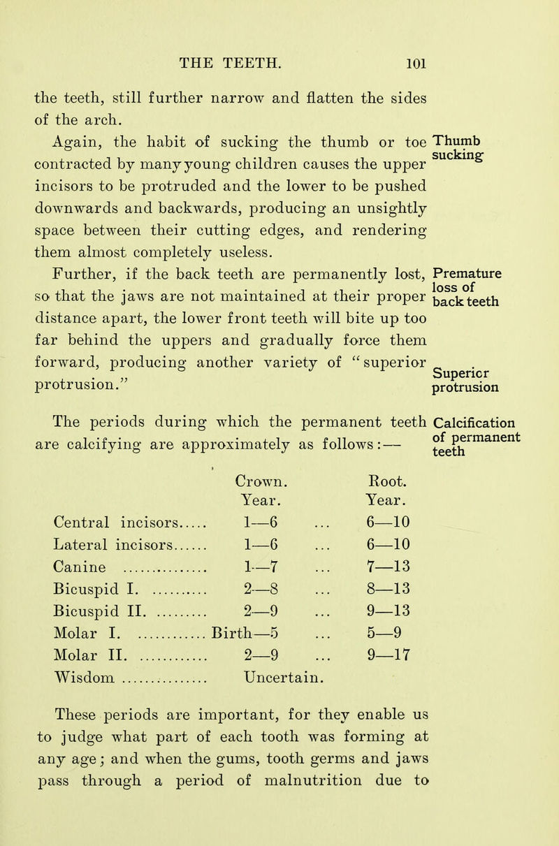 the teeth, still further narrow and flatten the sides of the arch. Again, the habit of sucking the thumb or toe contracted by many young children causes the upper incisors to be pxotruded and the lower to be pushed downwards and backwards, producing an unsightly space between their cutting edges, and rendering them almost completely useless. Further, if the back teeth are permanently lost, so that the jaws are not maintained at their proper distance apart, the lower front teeth will bite up too far behind the uppers and gradually force them forward, producing another variety of  superior protrusion. Thumb sucking Premature loss of back teeth Superior protrusion The periods during which the permanent teeth Calcification ■e calcifying are approximately as follows:— teeth^^^^^ Crown. Root. Year. Year. Central incisors.. 1—6 6—10 Lateral incisors.., 1—6 6—10 Canine 1—7 7—13 Bicuspid I 2—8 8—13 Bicuspid II 2—9 9—13 Molar I Birth—5 5—9 Molar II 2—9 9—17 Wisdom Uncerta in. These periods are important, fo r they enable to judge what part of each tooth was forming any age; and when the gums, tooth germs and jaws pass through a period of malnutrition due to