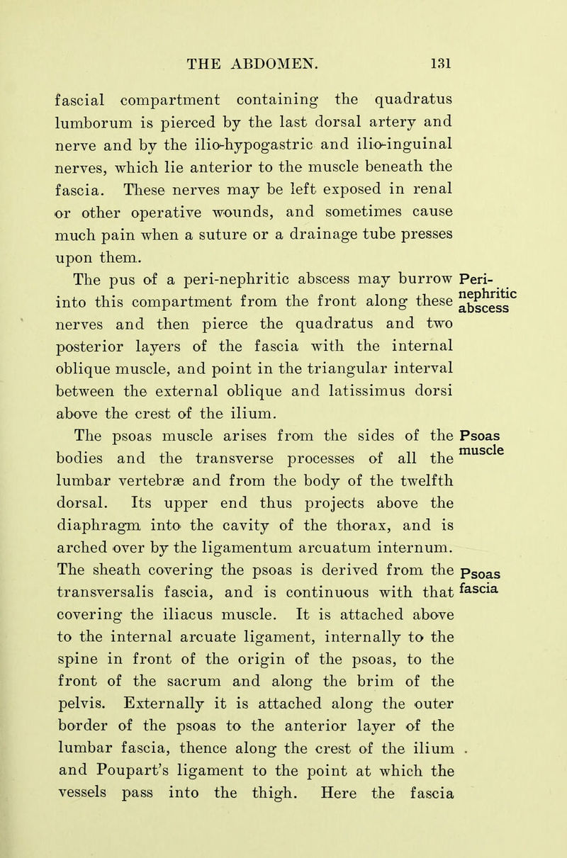 fascial compartment containing the quadratus lumborum is pierced by the last dorsal artery and nerve and by the ilio-hypogastric and ilio-inguinal nerves, which lie anterior to the muscle beneath the fascia. These nerves may be left exposed in renal or other operative wounds, and sometimes cause much pain when a suture or a drainage tube presses upon them. The pus of a peri-nephritic abscess may burrow Peri- into this compartment from the front along these ^bscess^ nerves and then pierce the quadratus and two posterior layers of the fascia with the internal oblique muscle, and point in the triangular interval between the external oblique and latissimus dorsi above the crest of the ilium. The psoas muscle arises from the sides of the Psoas bodies and the transverse processes of all the ^^^^^ lumbar vertebrae and from the body of the twelfth dorsal. Its upper end thus projects above the diaphragm intO' the cavity of the thorax, and is arched over by the ligamentum arcuatum internum. The sheath covering the psoas is derived from the Psoas transversalis fascia, and is continuous with that fascia covering the iliacus muscle. It is attached above to the internal arcuate ligament, internally to the spine in front of the origin of the psoas, to the front of the sacrum and along the brim of the pelvis. Externally it is attached along the outer boTder of the psoas to the anterior layer of the lumbar fascia, thence along the crest of the ilium . and Poupart's ligament to the point at which the vessels pass into the thigh. Here the fascia