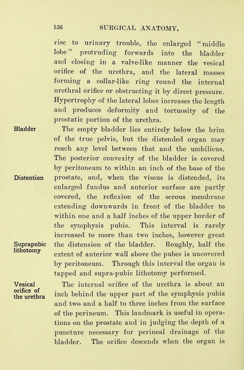 rise to urinary trouble, the enlarged middle lobe protruding forwards into the bladder and closing in a valve-like manner the vesical orifice of the urethra, and the lateral masses forming a collar-like ring round the internal urethral orifice ot obstructing it by direct pressure. Hypertrophy of the lateral lobes increases the length and produces deformity and tortuosity of the prostatic portion of the urethra. The empty bladder lies entirely below the brim of the true pelvis, but the distended organ may reach any level between that and the umbilicus. The posterior convexity of the bladder is covered by peritoneum to within an inch of the base of the prostate, and, when the viscus is distended, its enlarged fundus and anterior surface are partly covered, the reflexion of the serous membrane extending downwards in front of the bladder to within one and a half inches of the upper border of the symphysis pubis. This interval is rarely increased to more than two inches, however great the distension of the bladder. Roughly, half the extent of anterior wall above the pubes is uncovered by peritoneum. Through this interval the organ is tapped and supra-pubic lithotomy performed. The internal orifice of the urethra is about an inch behind the upper part of the symphysis pubis and two and a half to three inches from the surface of the perineum. This landmark is useful in opera- tions on the prostate and in judging the depth of a puncture necessary for perineal drainage of the bladder. The orifice descends when the organ is