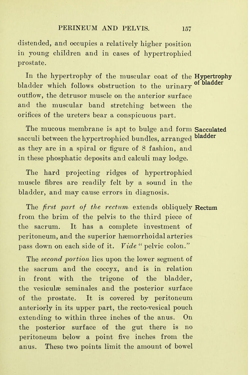 distended, and occupies a relatively higher position in young children and in cases of hypertrophied prostate. In the hypertrophy of the muscular coat of the Hypertrophy bladder which follows obstruction to the urinary ^^^^^^^ outflow, the detrusor muscle on the anterior surface and the muscular band stretching between the orifices of the ureters bear a conspicuous part. The mucous membrane is apt to bulge and form Sacculated sacculi between the hypertrophied bundles, arranged ^^^^^^^ as they are in a spiral or figure of 8 fashion, and in these phosphatic deposits and calculi may lodge. The hard projecting ridges of hypertrophied muscle fibres are readily felt by a sound in the bladder, and may cause errors in diagnosis. The first part of the rectwm extends obliquely Rectum from the brim of the pelvis to the third piece of the sacrum. It has a complete investment of peritoneum, and the superior haemorrhoidal arteries pass down on each side of it. Tide pelvic colon. The second portion lies upon the lower segment of the sacrum and the coccyx, and is in relation in front with the trigone of the bladder, the vesiculse seminales and the posterior surface of the prostate. It is covered by peritoneum anteriorly in its upper part, the recto-vesical pouch extending to within three inches of the anus. On the posterior surface of the gut there is no peritoneum below a point five inches from the anus. These twO' points limit the amount of bowel