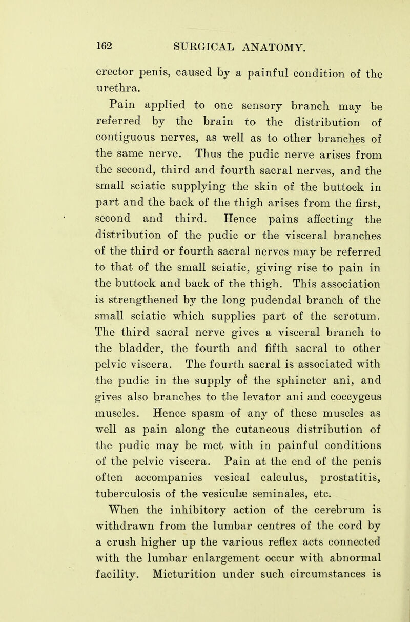 erector penis, caused by a painful condition of the urethra. Pain applied to one sensory branch may be referred by the brain to the distribution of contiguous nerves, as well as to other branches of the same nerve. Thus the pudic nerve arises from the second, third and fourth sacral nerves, and the small sciatic supplying the skin of the buttock in part and the back of the thigh arises from the first, second and third. Hence pains affecting the distribution of the pudic or the visceral branches of the third or fourth sacral nerves may be referred to that of the small sciatic, giving rise to pain in the buttock and back of the thigh. This association is strengthened by the long pudendal branch of the small sciatic which supplies part of the scrotum. The third sacral nerve gives a visceral branch to the bladder, the fourth and fifth sacral to other pelvic viscera. The fourth sacral is associated with the pudic in the supply of the sphincter ani, and gives also branches to the levator ani and coccygeus muscles. Hence spasm of any of these muscles as well as pain along the cutaneous distribution of the pudic may be met with in painful conditions of the pelvic viscera. Pain at the end of the penis often accompanies vesical calculus, prostatitis, tuberculosis of the vesiculae seminales, etc. When the inhibitory action of the cerebrum is withdrawn from the lumbar centres of the cord by a crush higher up the various reflex acts connected with the lumbar enlargement occur with abnormal facility. Micturition under such circumstances is